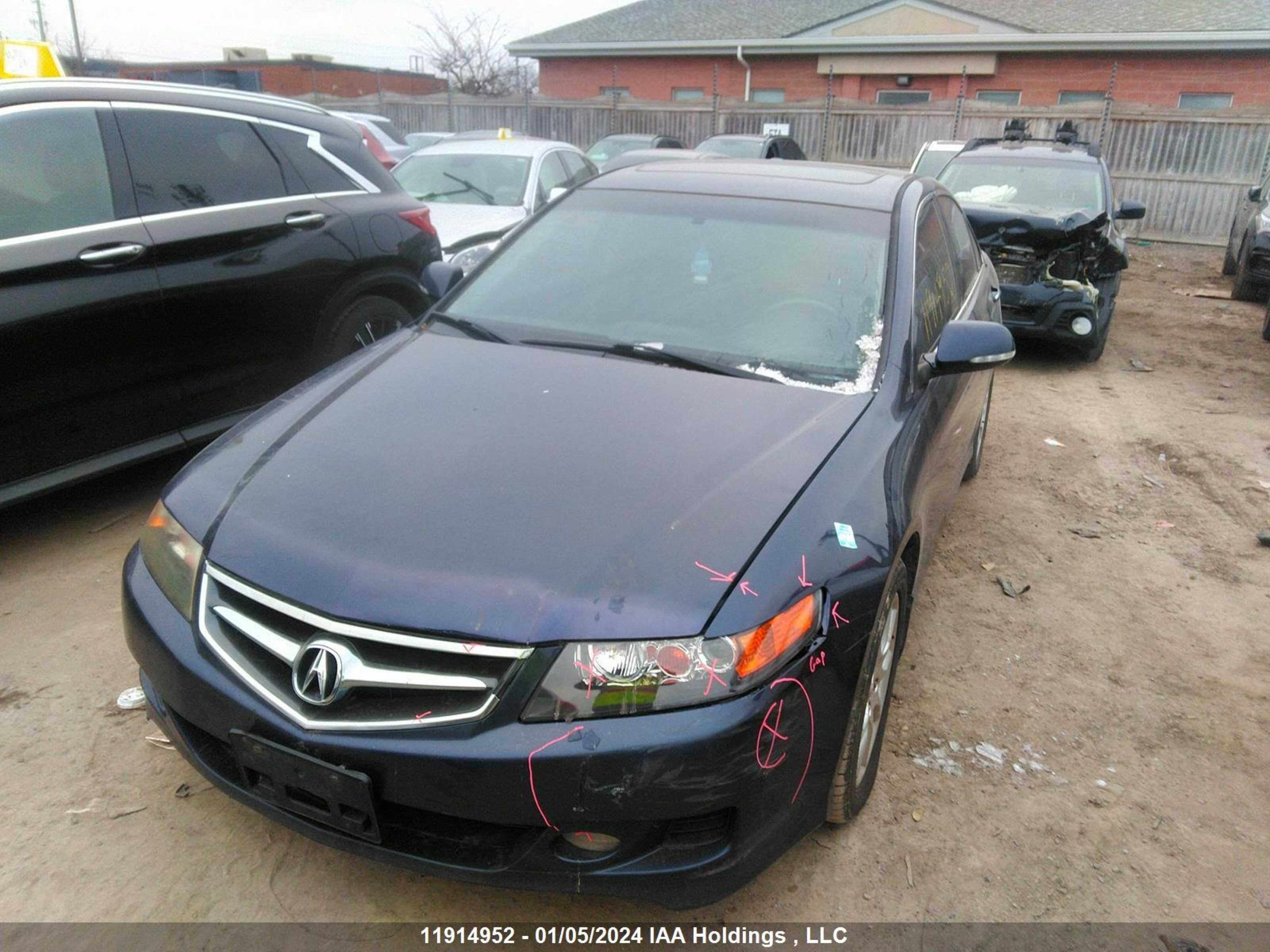 Photo 5 VIN: JH4CL96857C800788 - ACURA TSX 