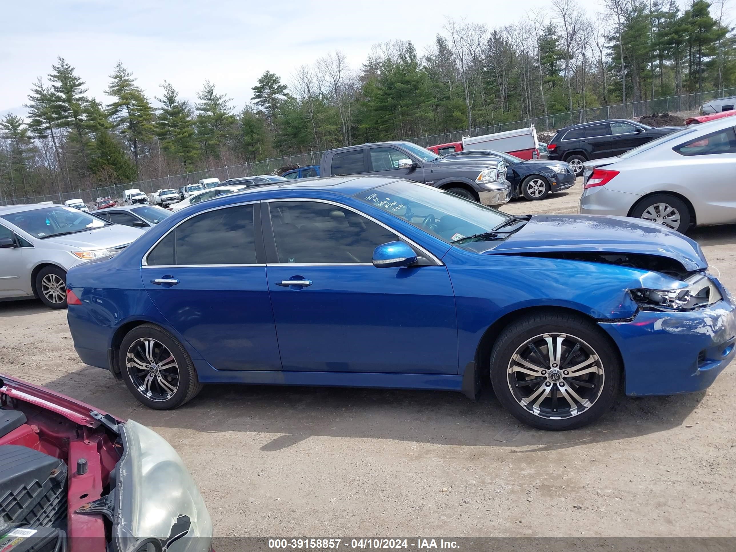 Photo 12 VIN: JH4CL96858C004883 - ACURA TSX 