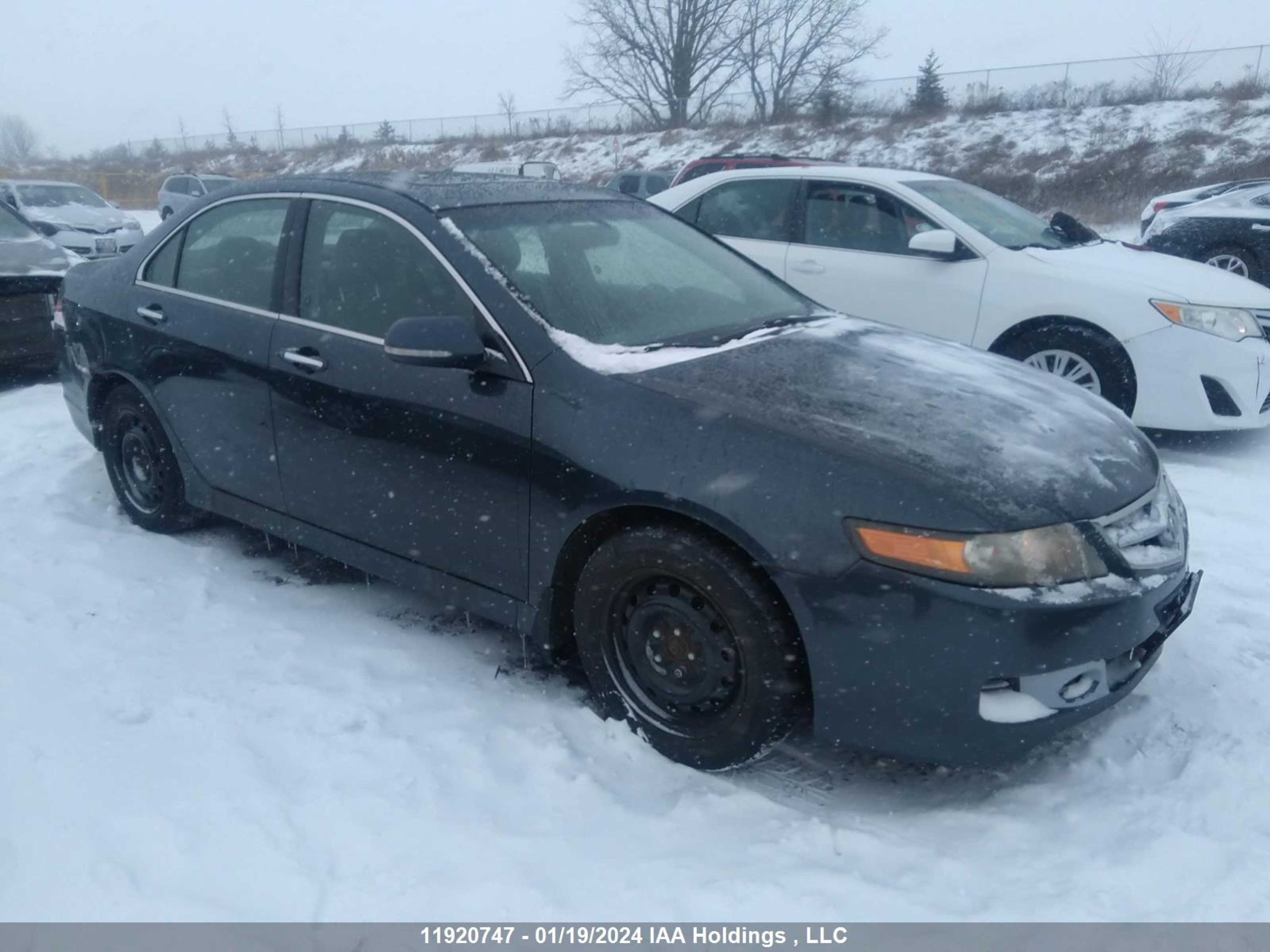 Photo 0 VIN: JH4CL96858C800419 - ACURA TSX 