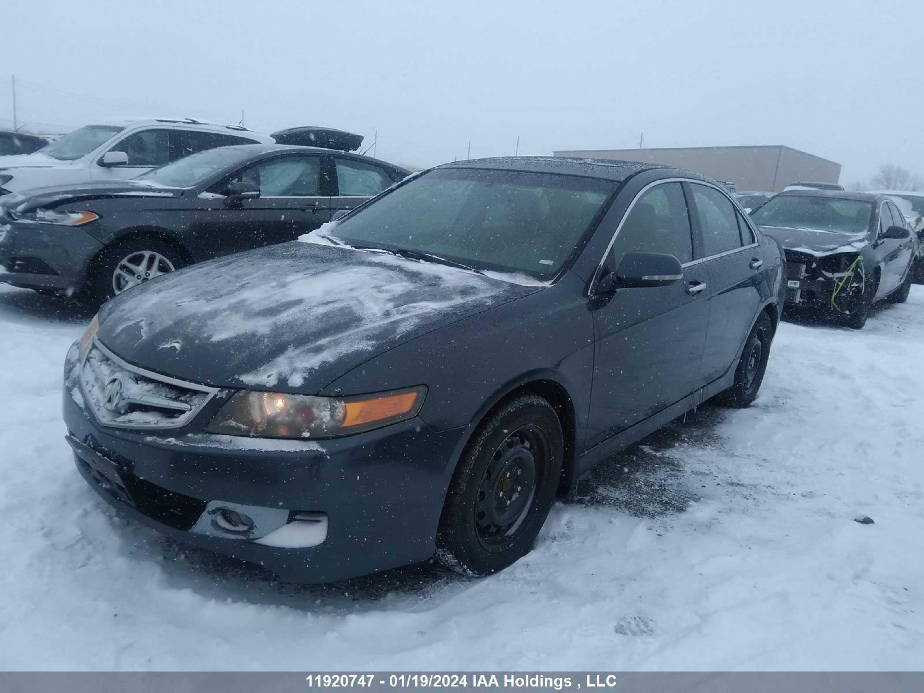 Photo 1 VIN: JH4CL96858C800419 - ACURA TSX 