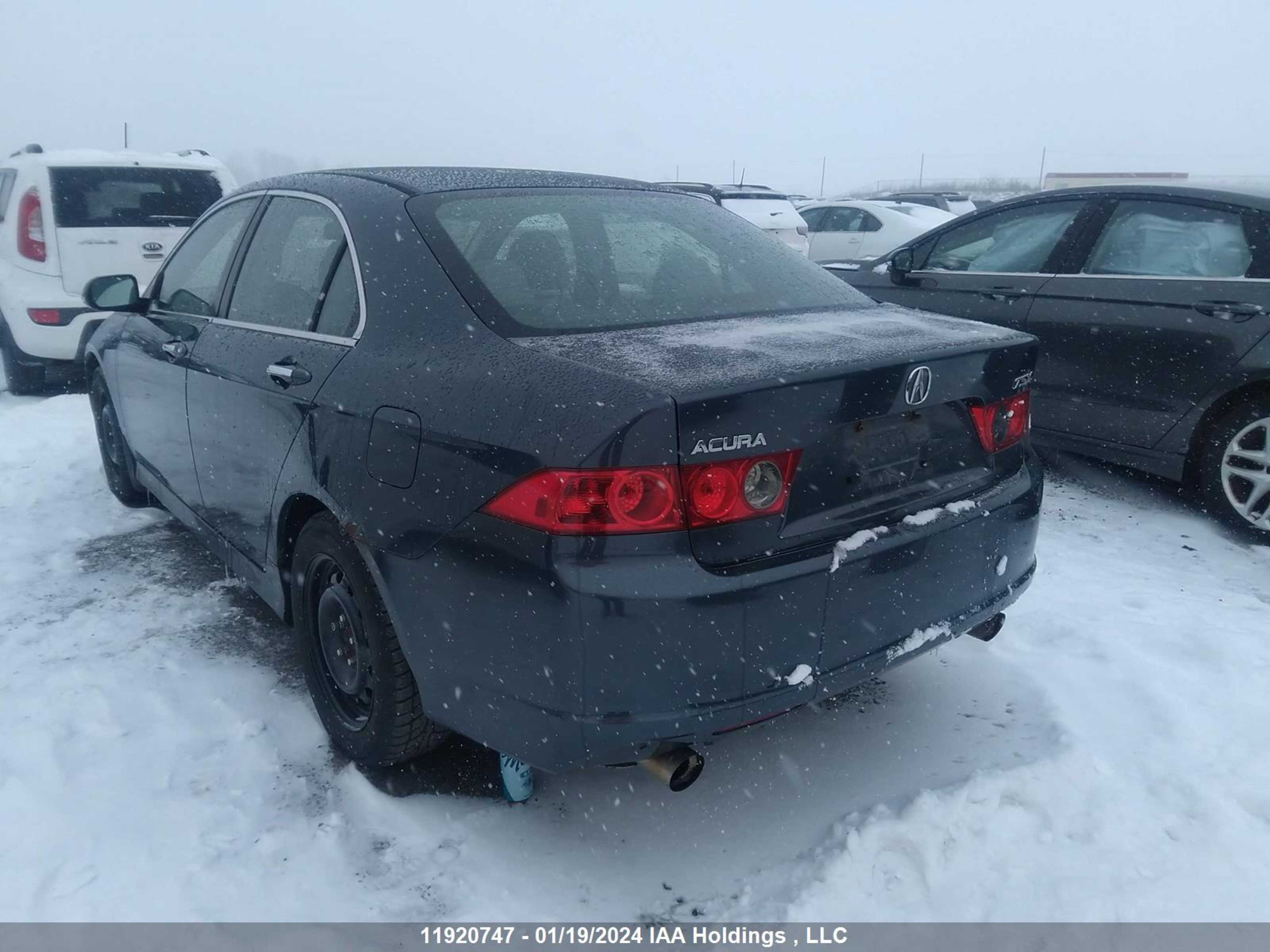 Photo 2 VIN: JH4CL96858C800419 - ACURA TSX 