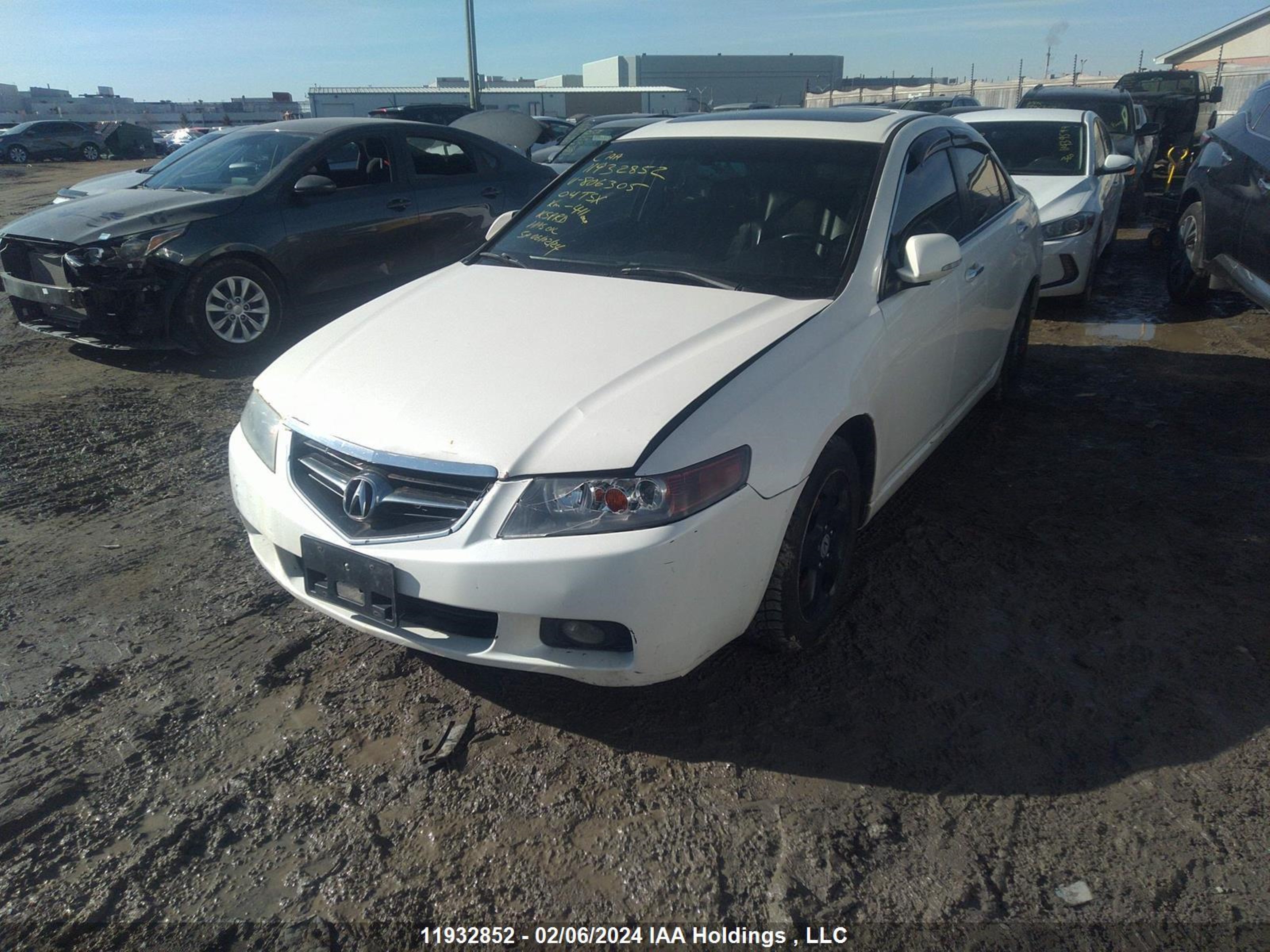 Photo 1 VIN: JH4CL96864C806305 - ACURA TSX 