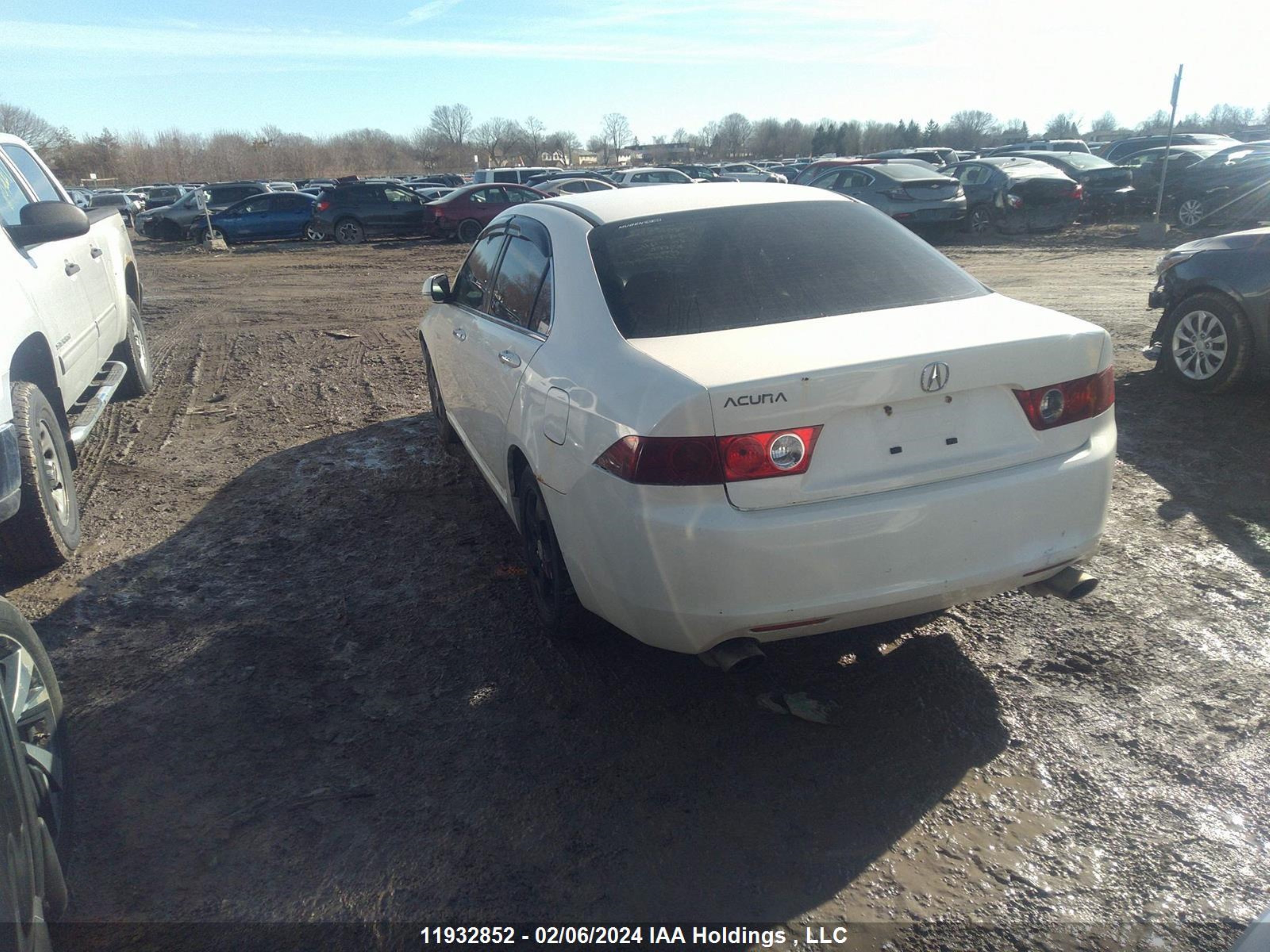 Photo 2 VIN: JH4CL96864C806305 - ACURA TSX 