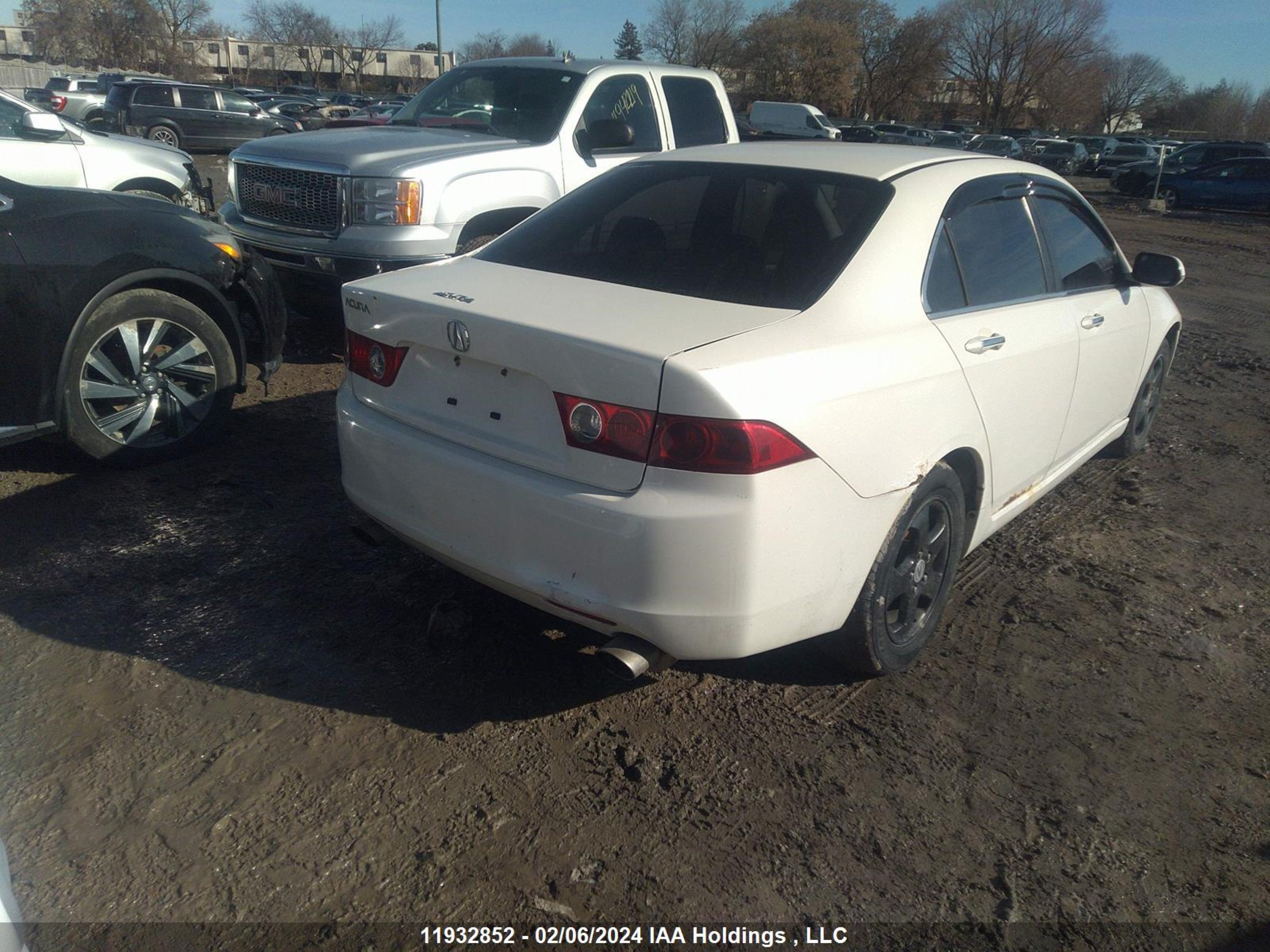 Photo 3 VIN: JH4CL96864C806305 - ACURA TSX 