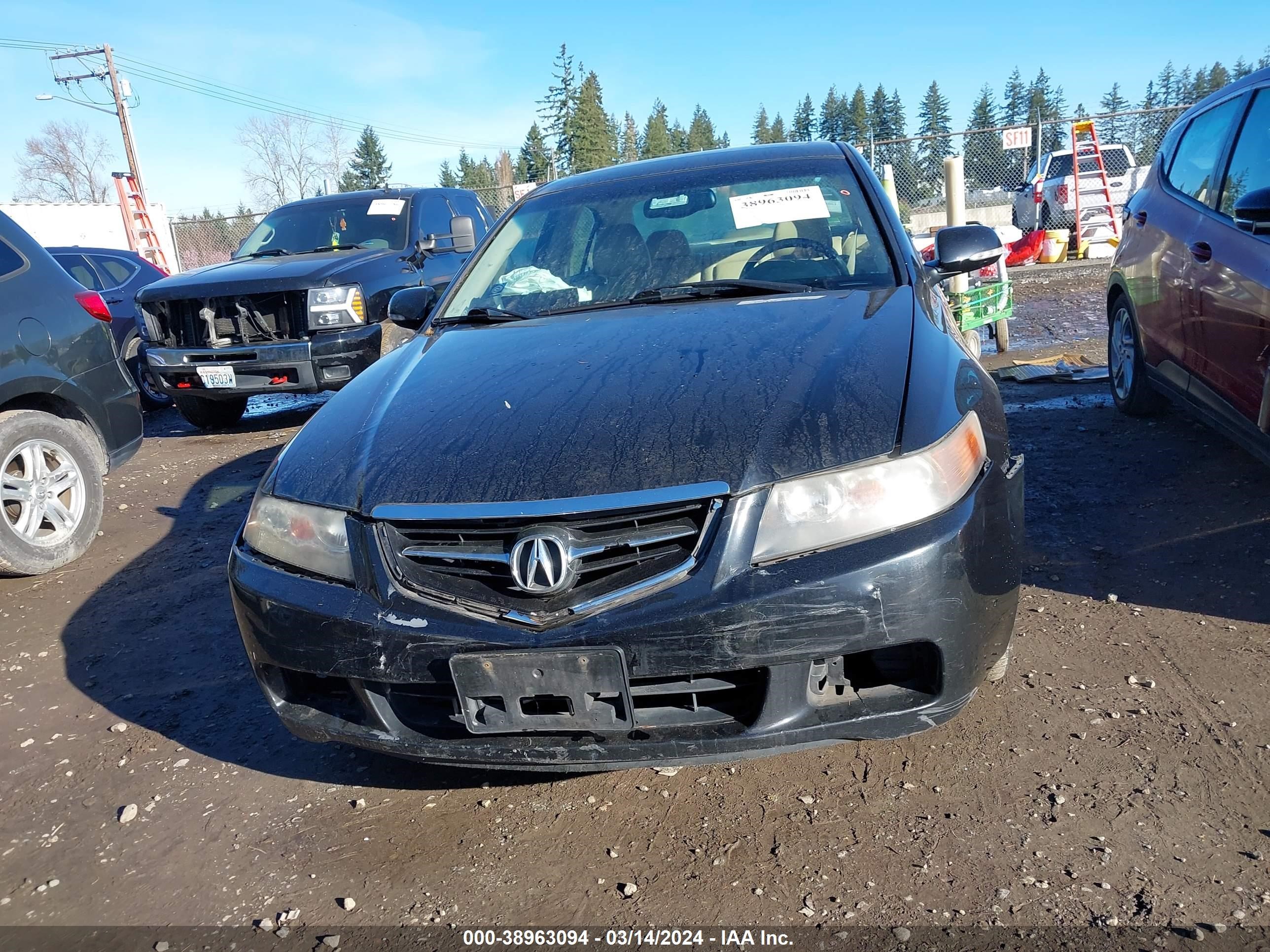 Photo 11 VIN: JH4CL96865C012034 - ACURA TSX 