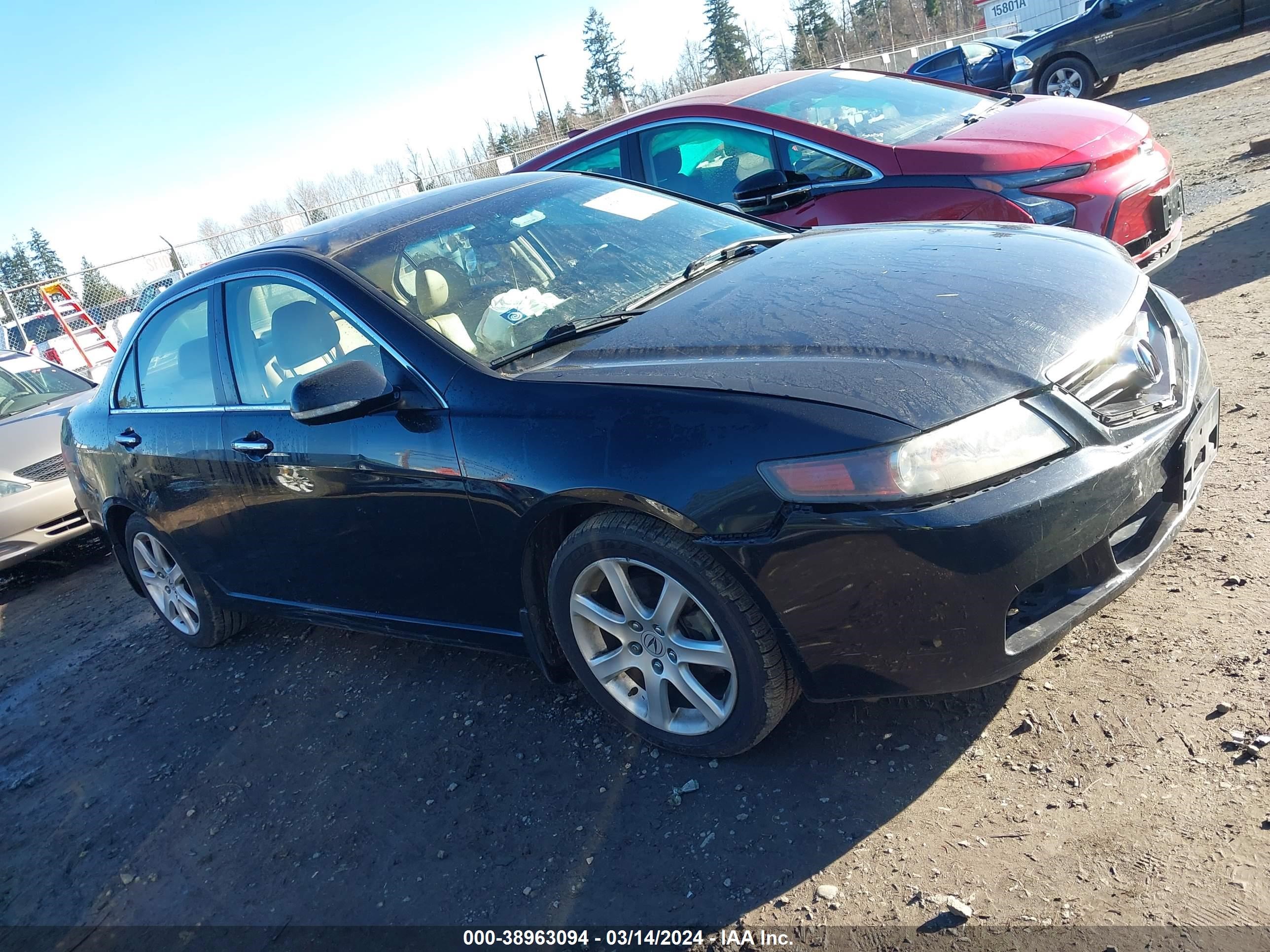 Photo 12 VIN: JH4CL96865C012034 - ACURA TSX 