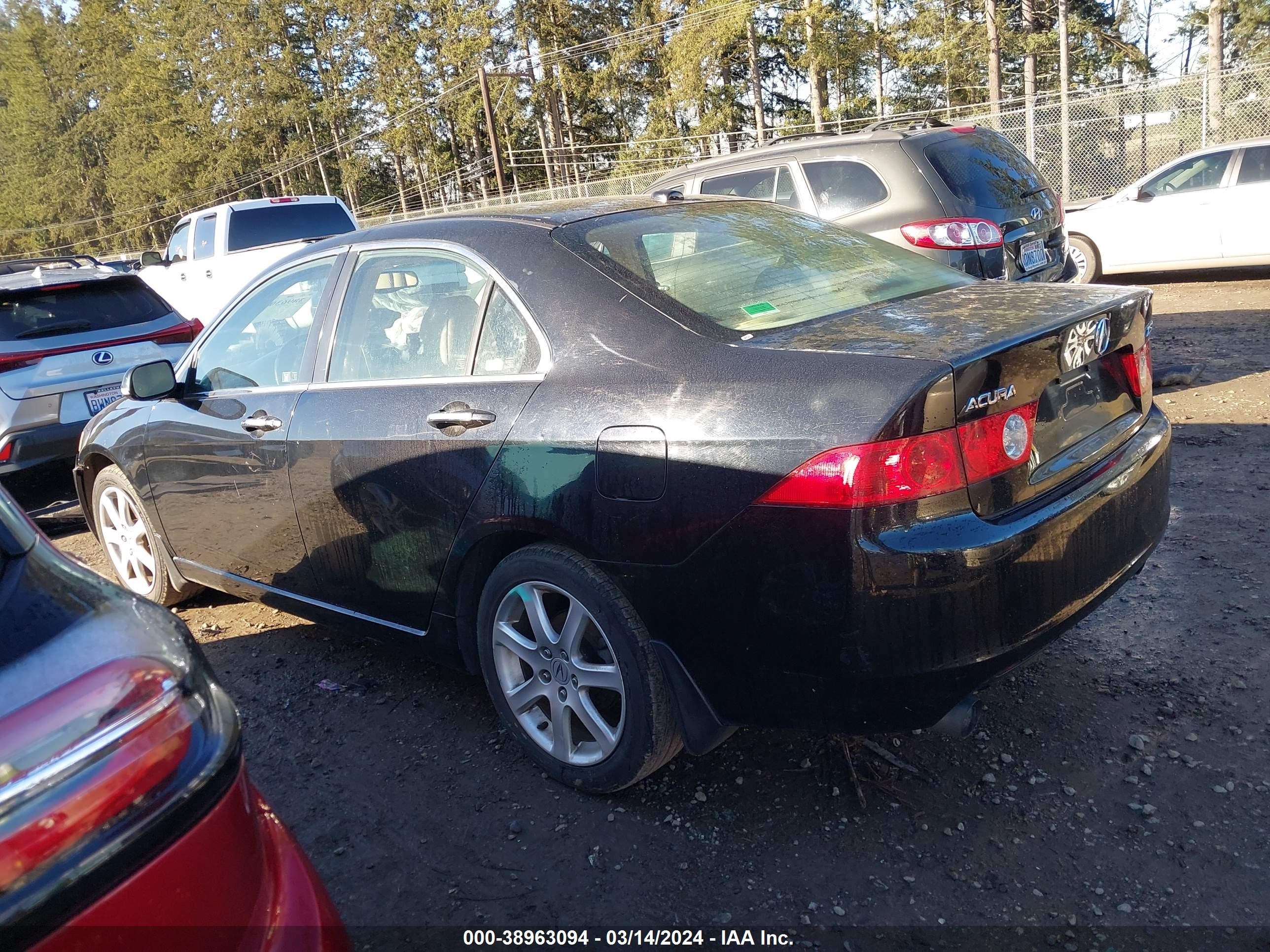 Photo 13 VIN: JH4CL96865C012034 - ACURA TSX 