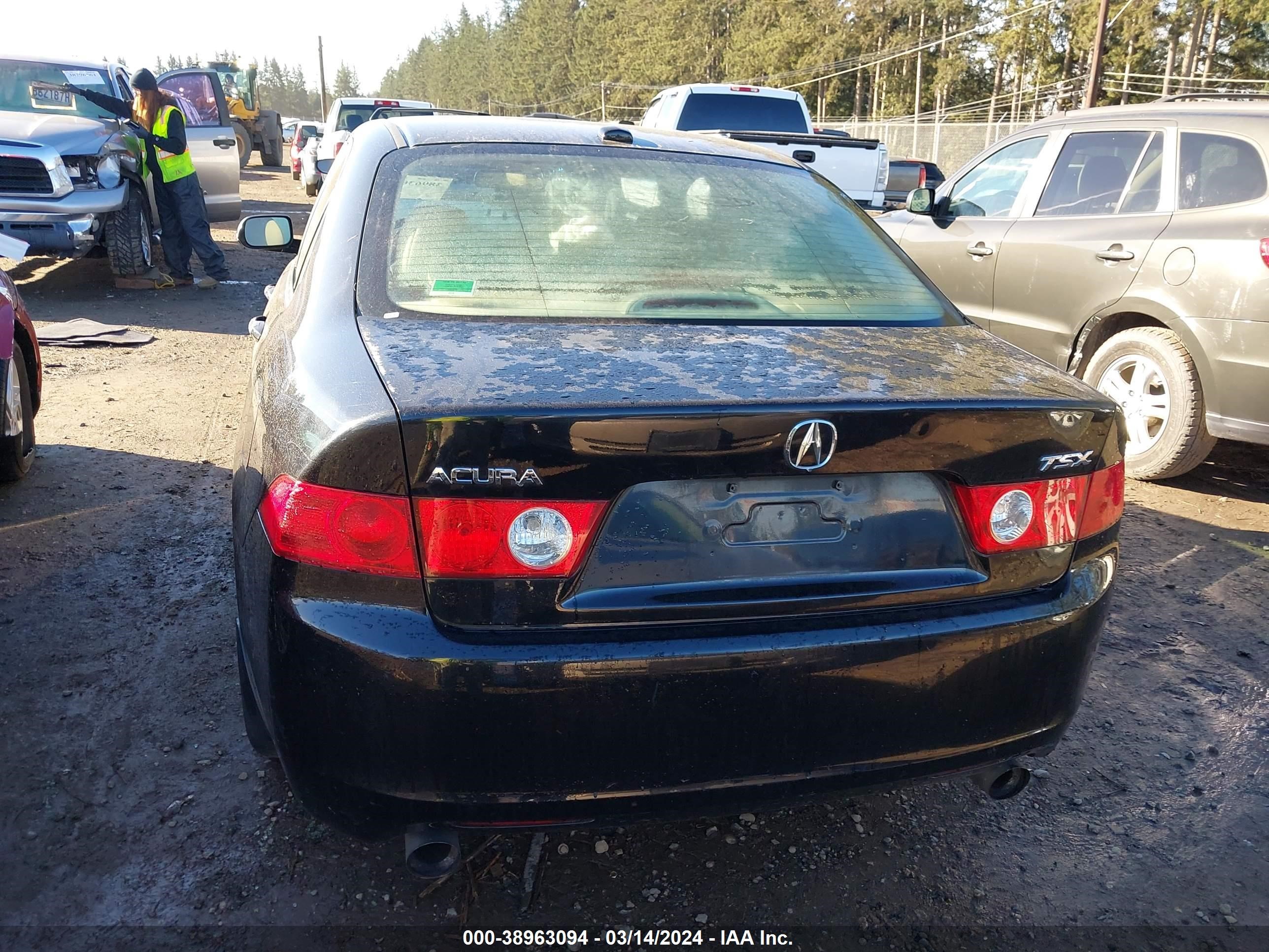 Photo 15 VIN: JH4CL96865C012034 - ACURA TSX 