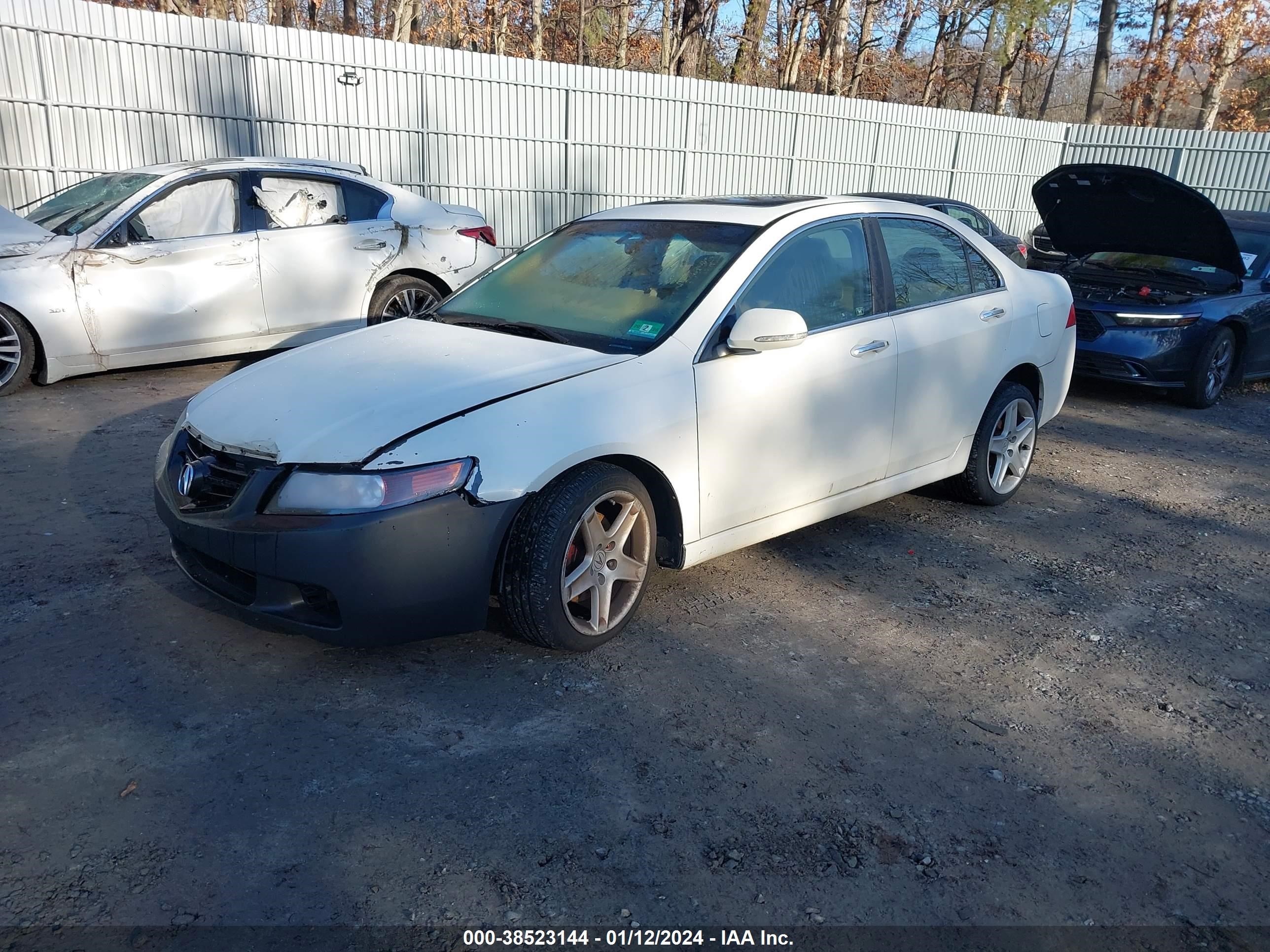 Photo 1 VIN: JH4CL96865C029593 - ACURA TSX 