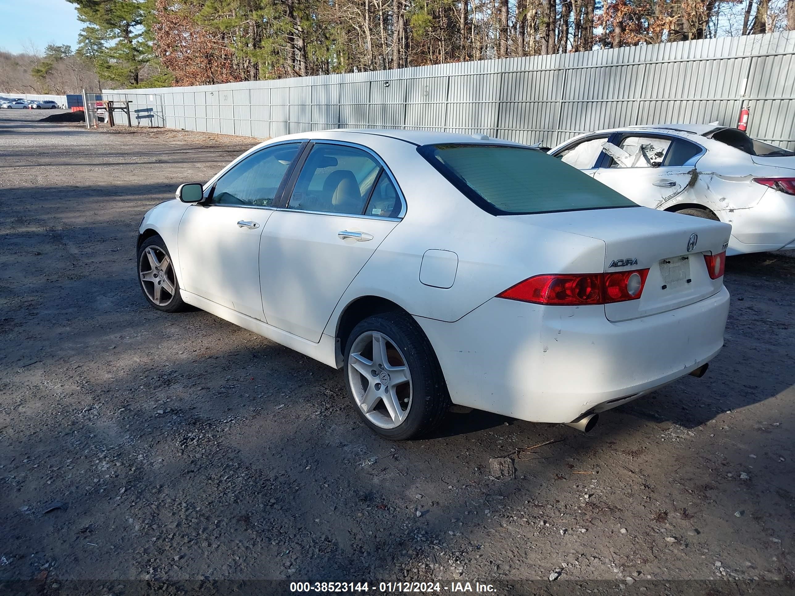 Photo 2 VIN: JH4CL96865C029593 - ACURA TSX 