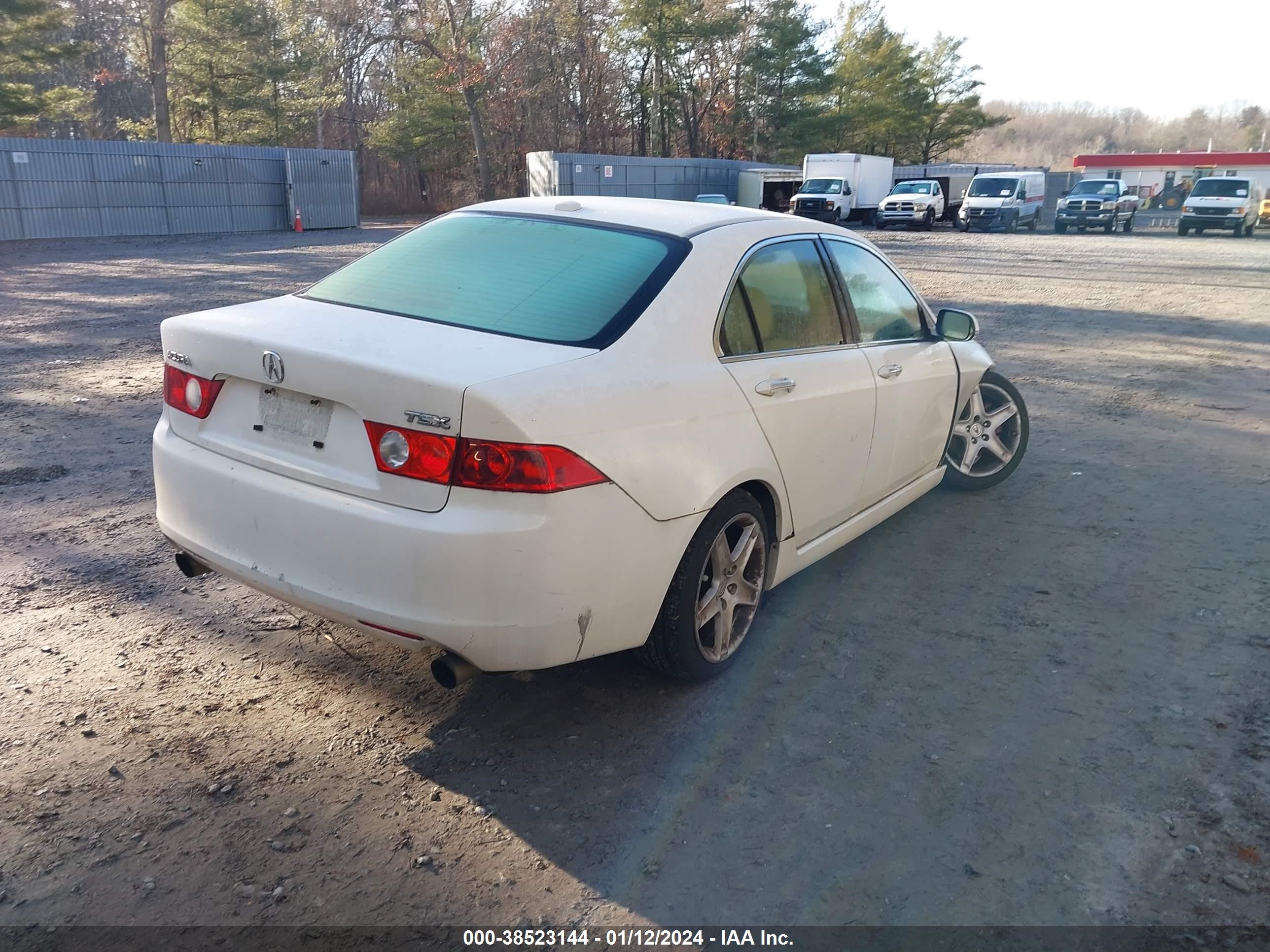 Photo 3 VIN: JH4CL96865C029593 - ACURA TSX 