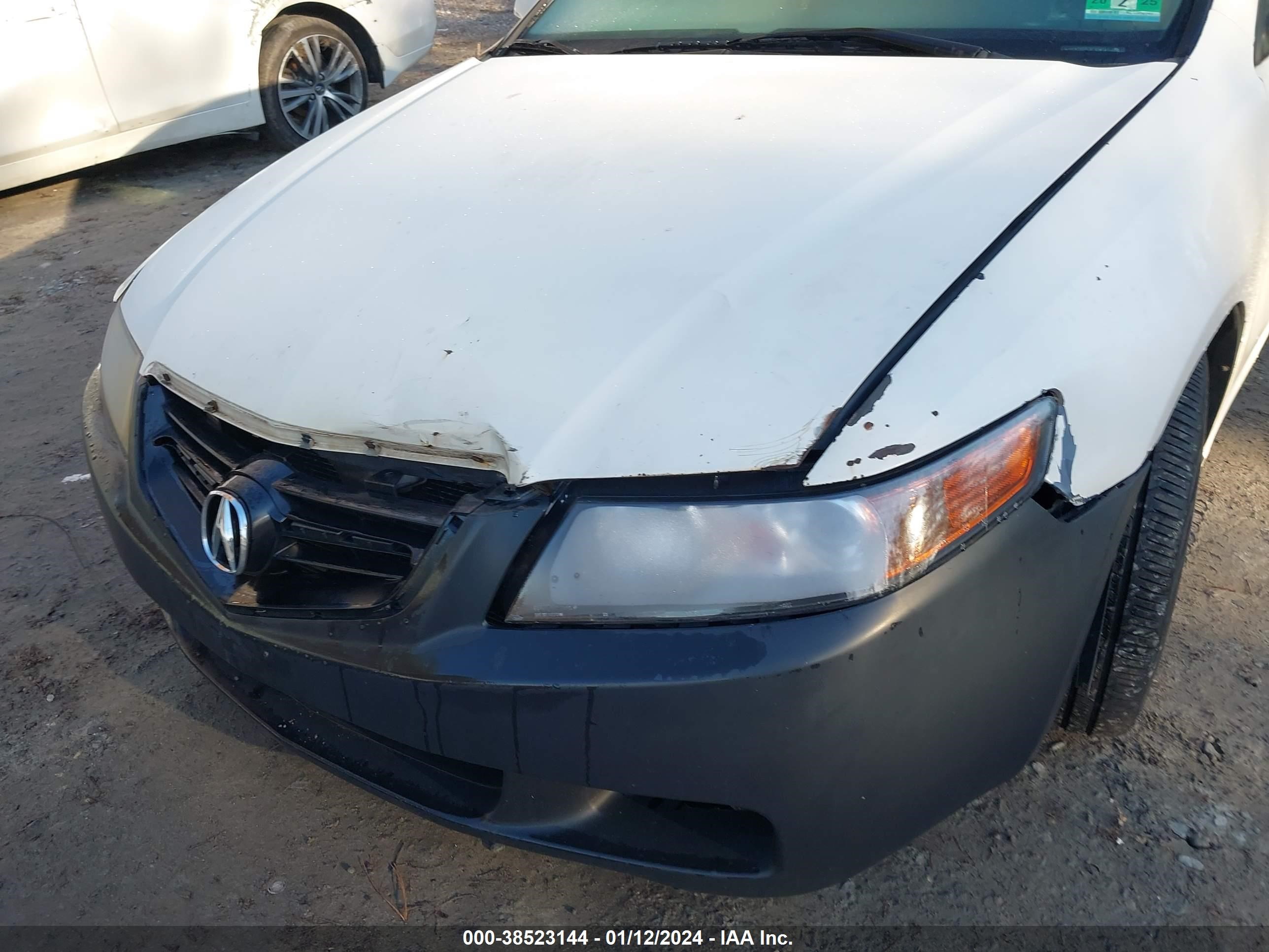 Photo 5 VIN: JH4CL96865C029593 - ACURA TSX 