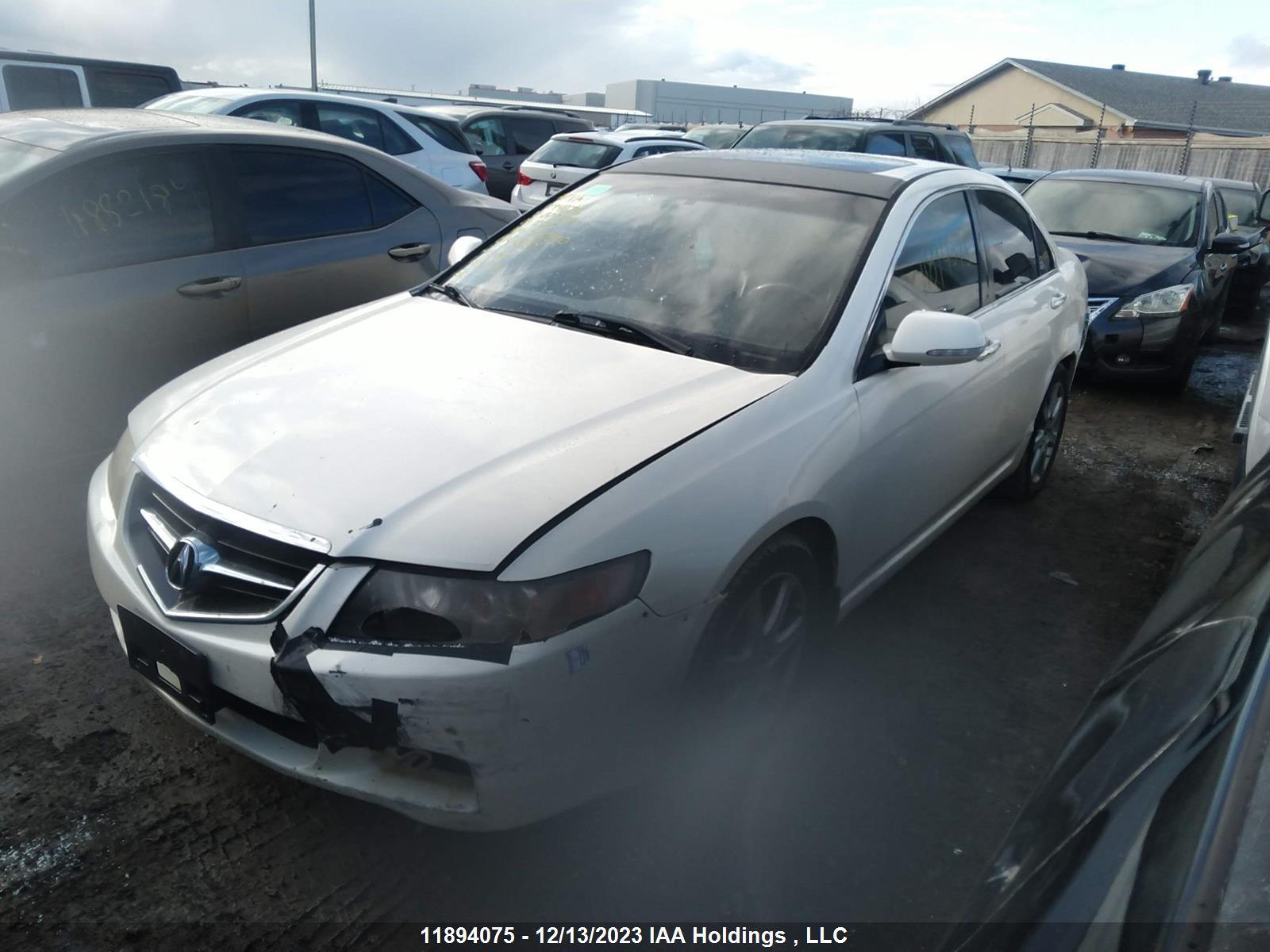 Photo 1 VIN: JH4CL96865C802109 - ACURA TSX 