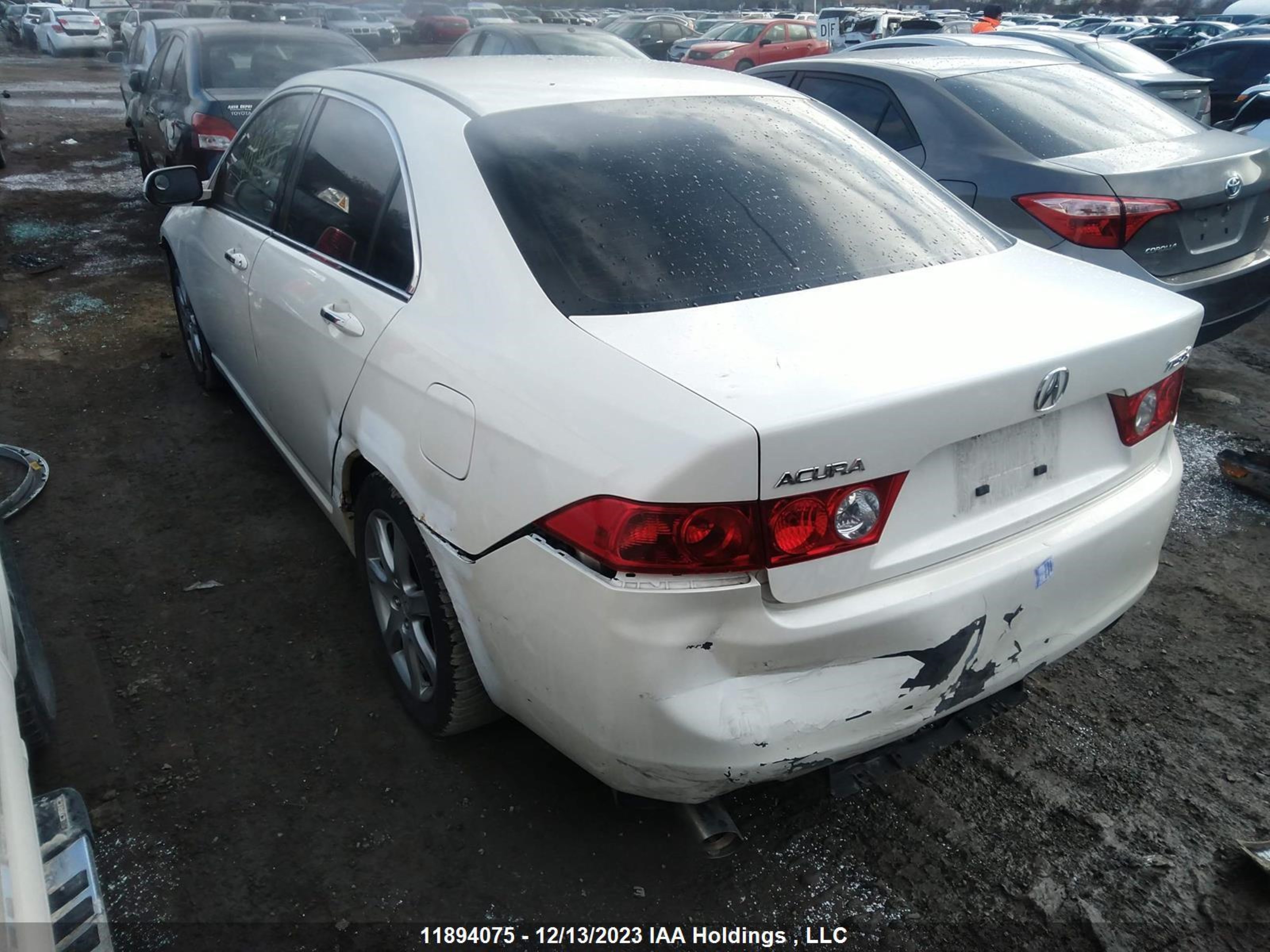 Photo 2 VIN: JH4CL96865C802109 - ACURA TSX 