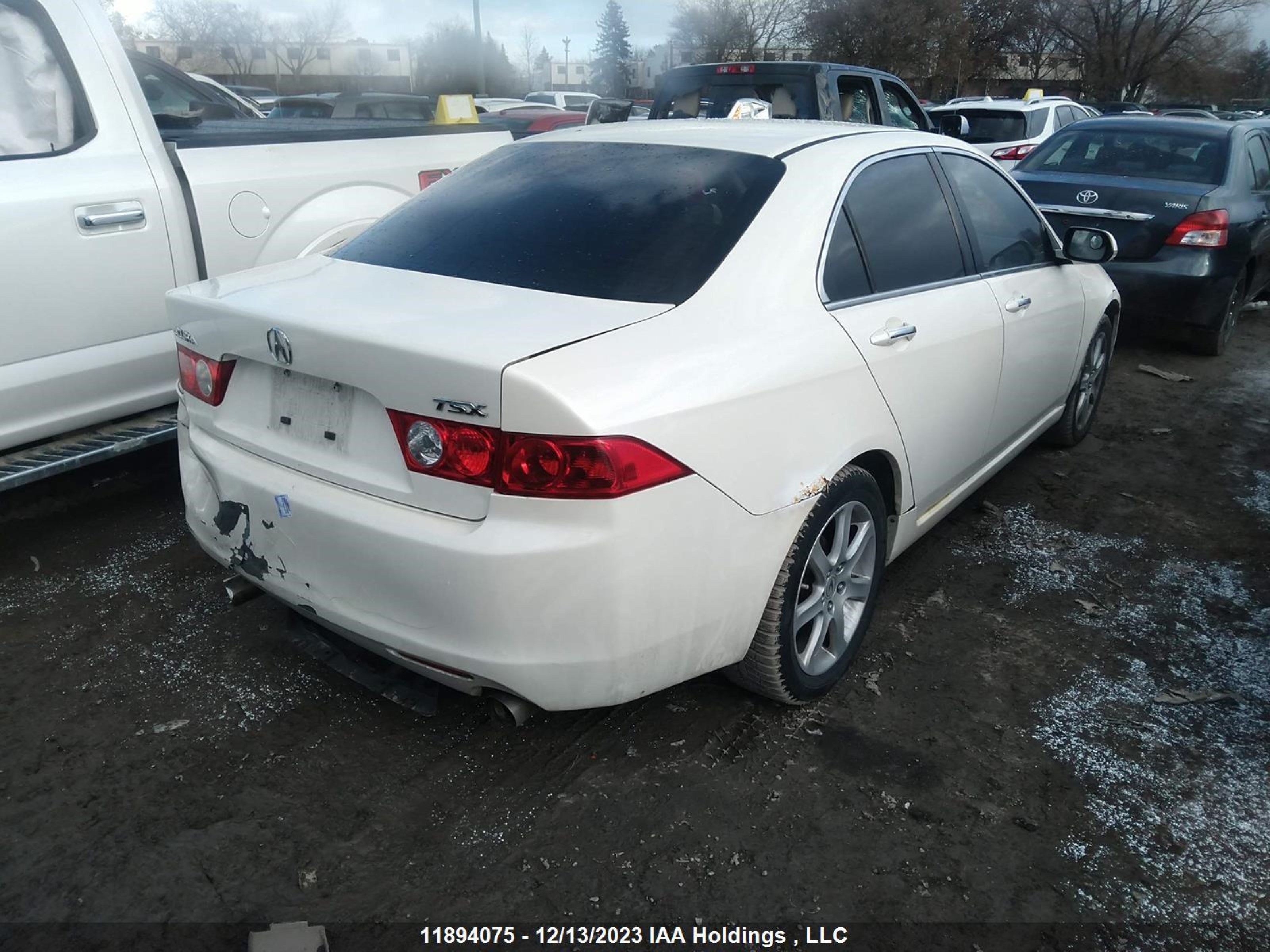 Photo 3 VIN: JH4CL96865C802109 - ACURA TSX 