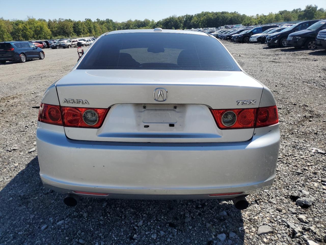 Photo 5 VIN: JH4CL96866C020166 - ACURA TSX 