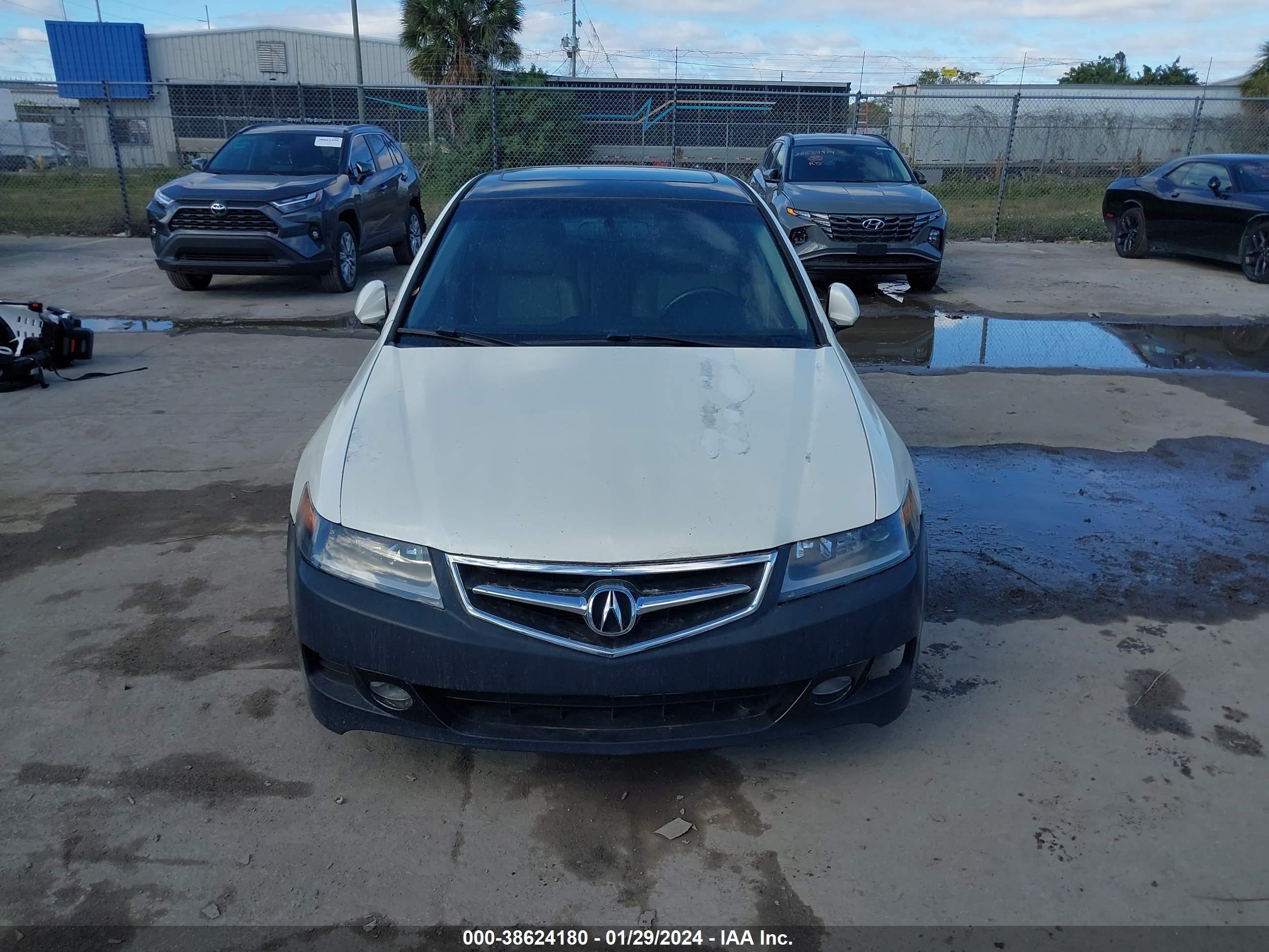 Photo 5 VIN: JH4CL96868C020221 - ACURA TSX 