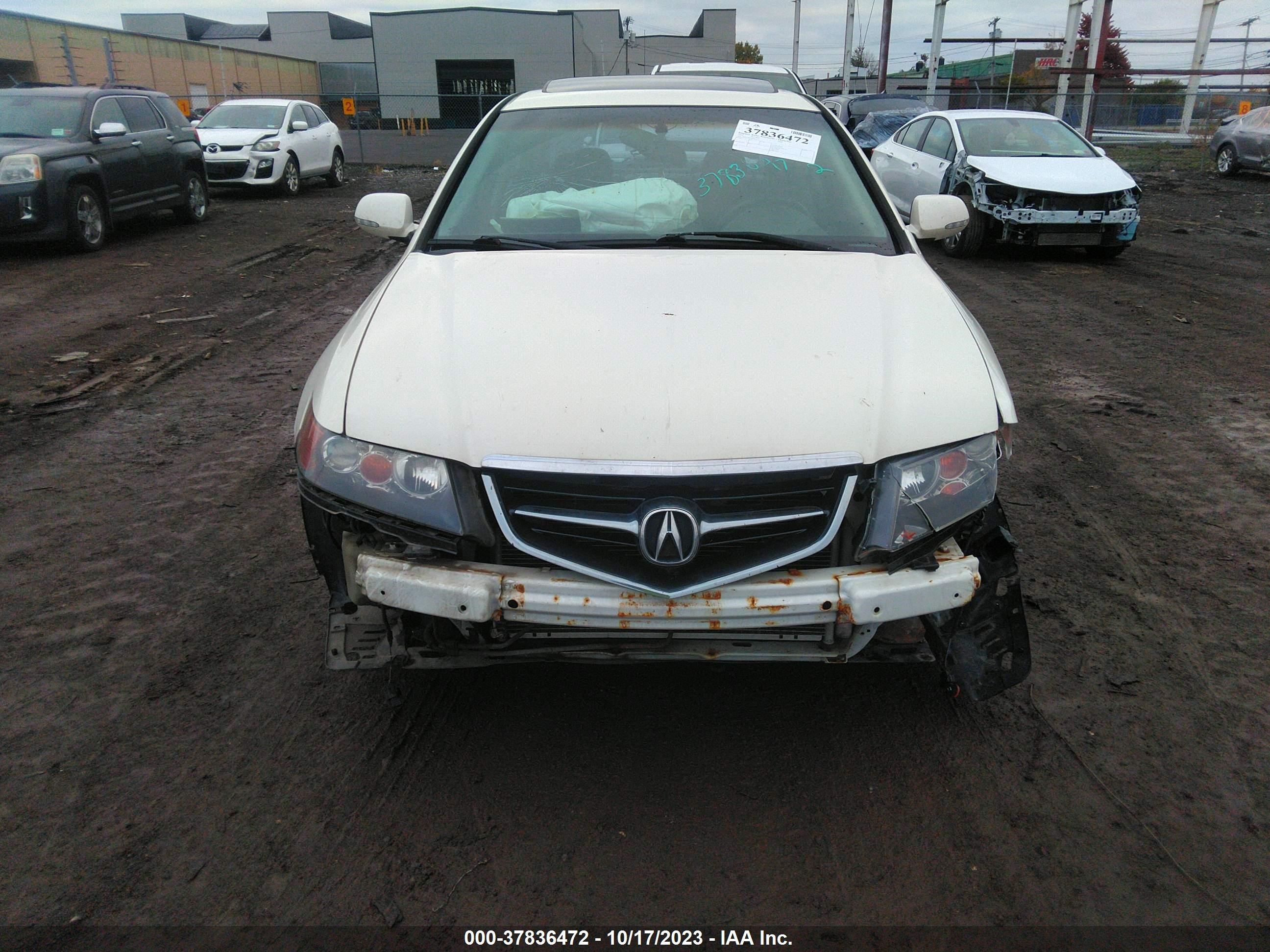 Photo 11 VIN: JH4CL96874C801517 - ACURA TSX 