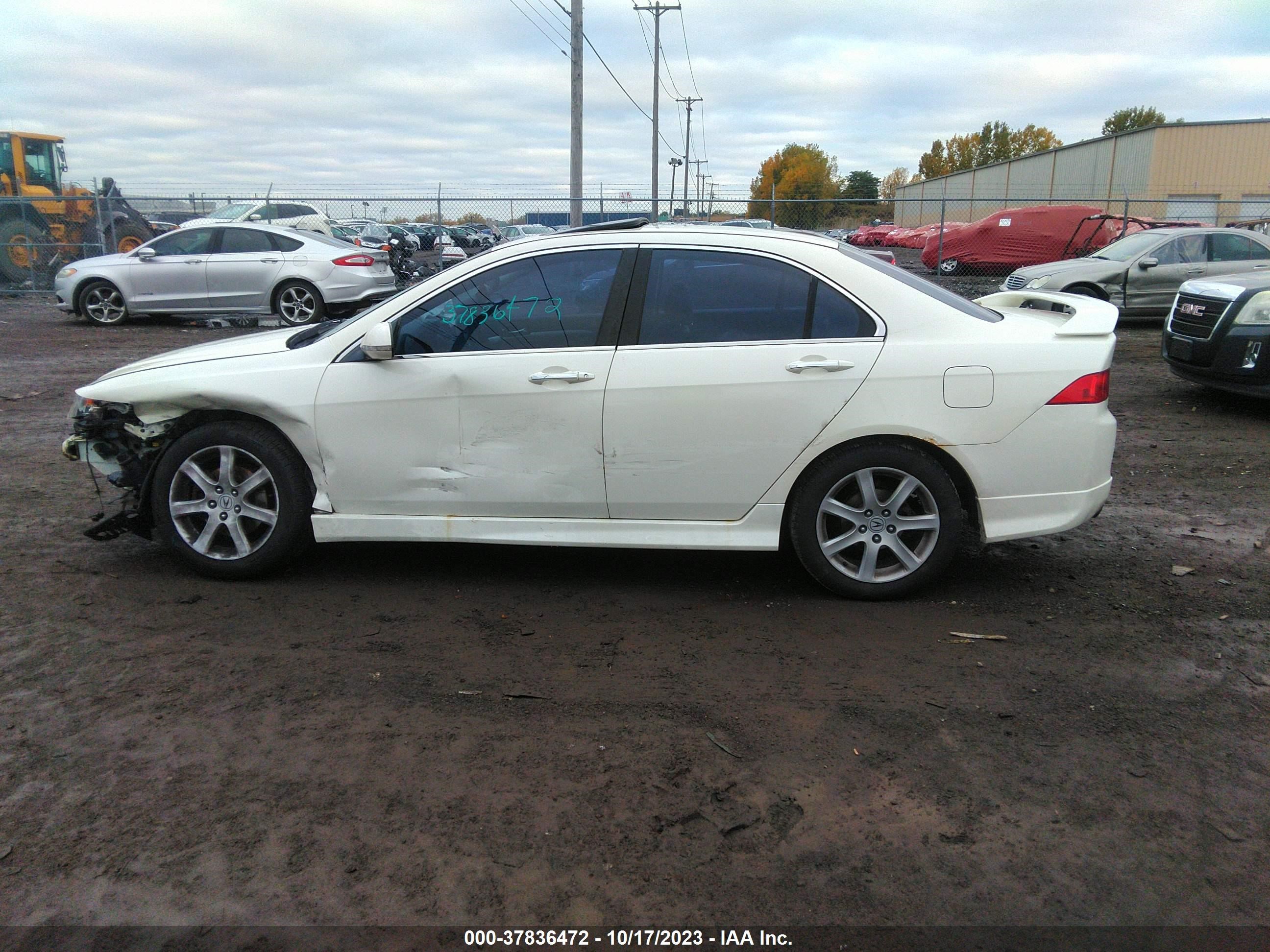 Photo 13 VIN: JH4CL96874C801517 - ACURA TSX 