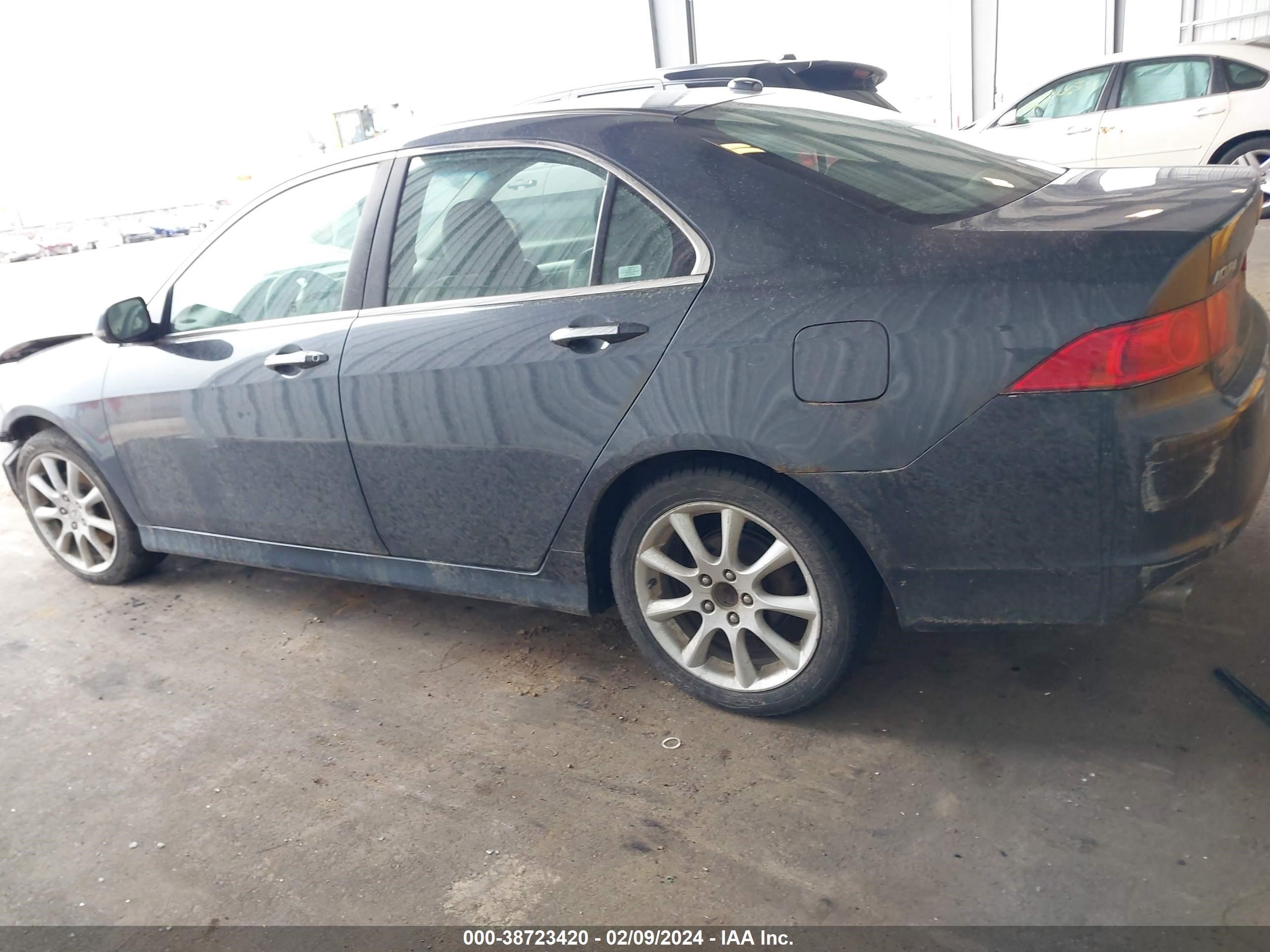 Photo 13 VIN: JH4CL96876C026476 - ACURA TSX 