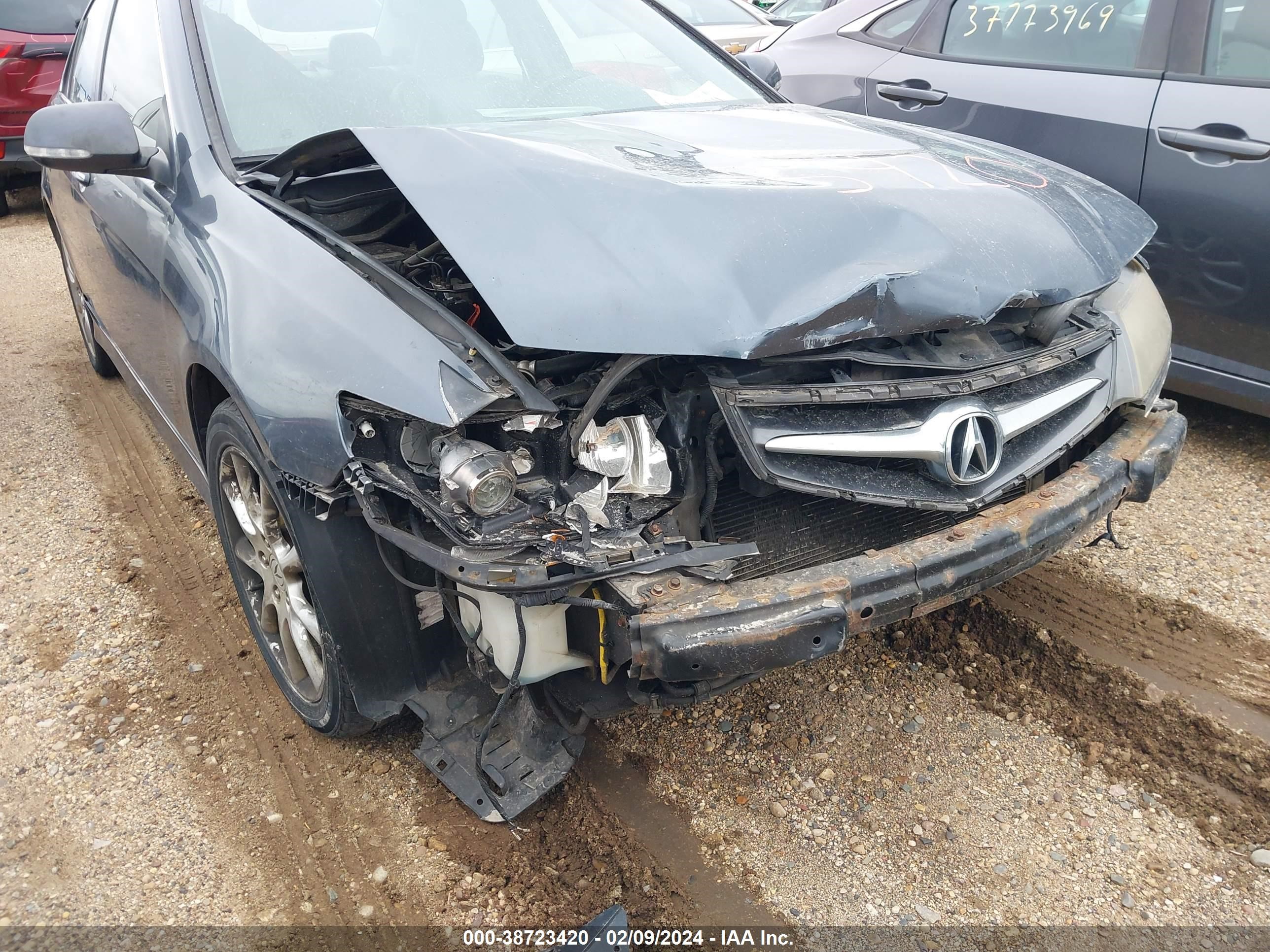 Photo 5 VIN: JH4CL96876C026476 - ACURA TSX 