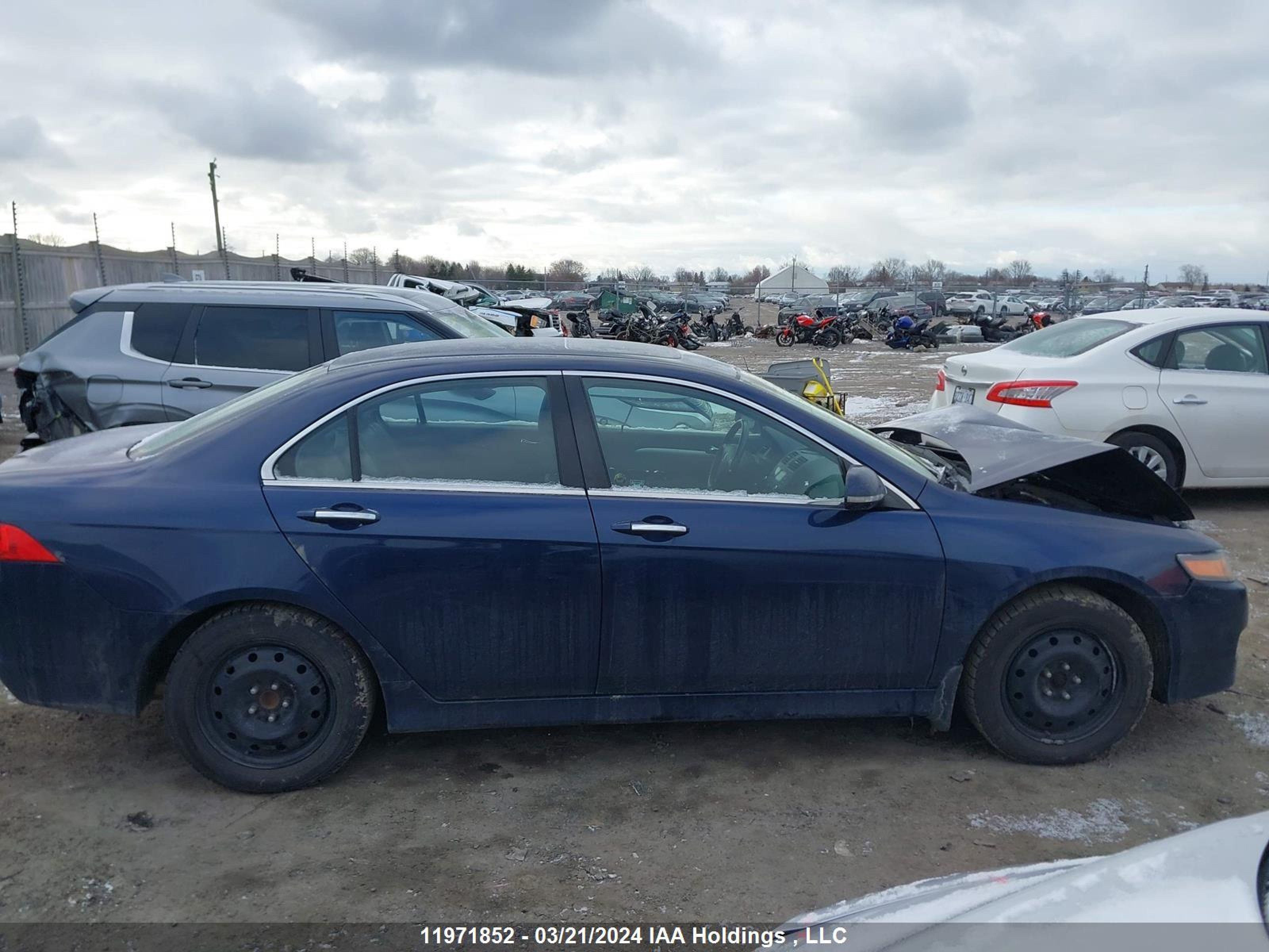 Photo 12 VIN: JH4CL96877C800307 - ACURA TSX 