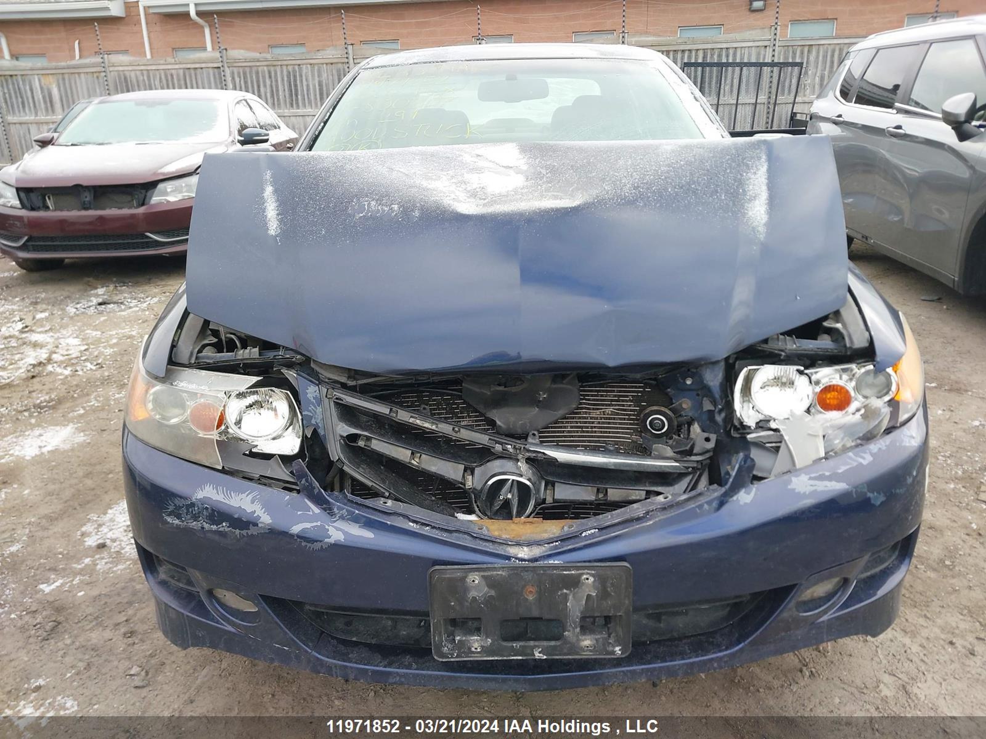 Photo 5 VIN: JH4CL96877C800307 - ACURA TSX 