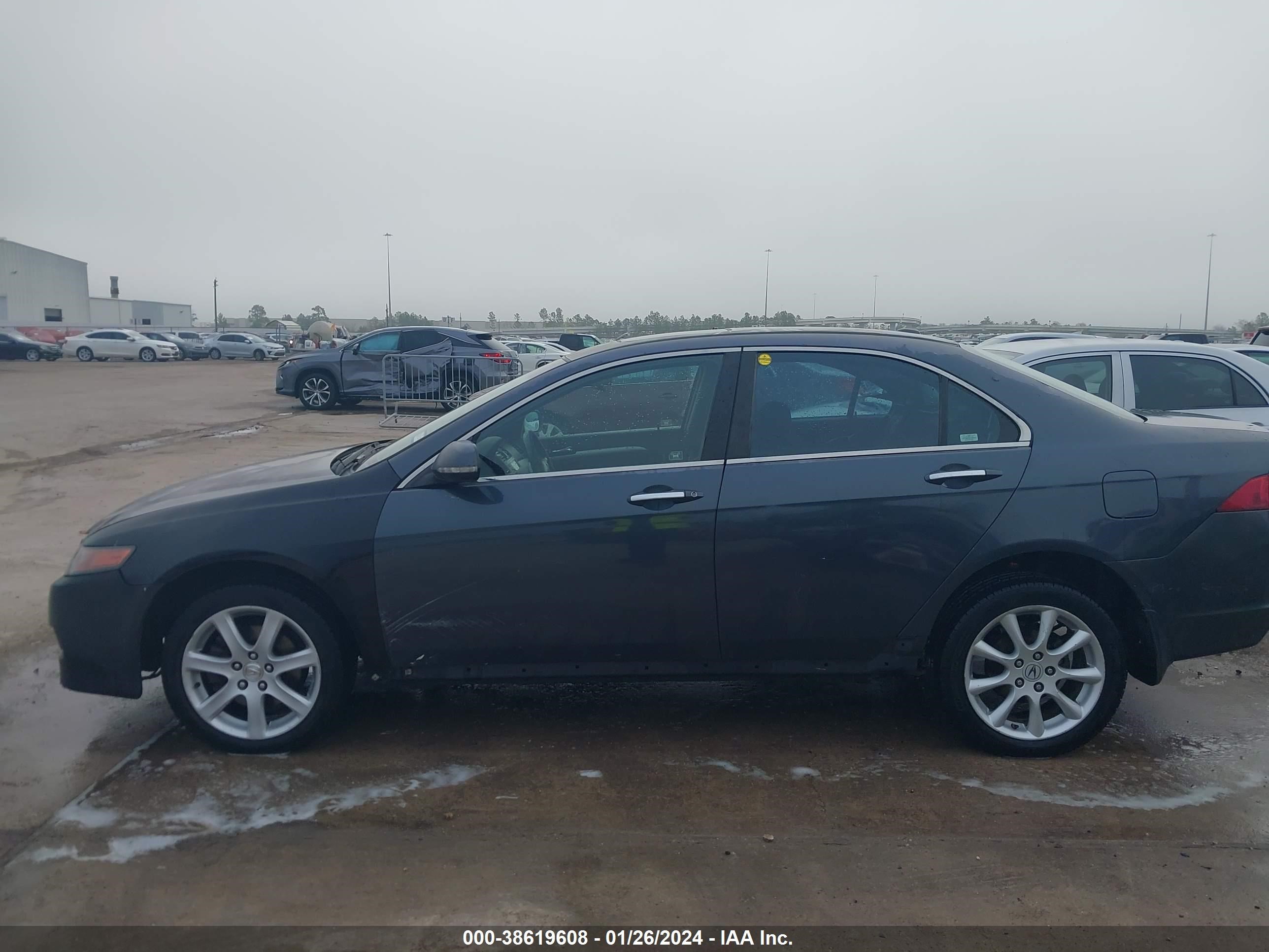 Photo 13 VIN: JH4CL96878C016307 - ACURA TSX 