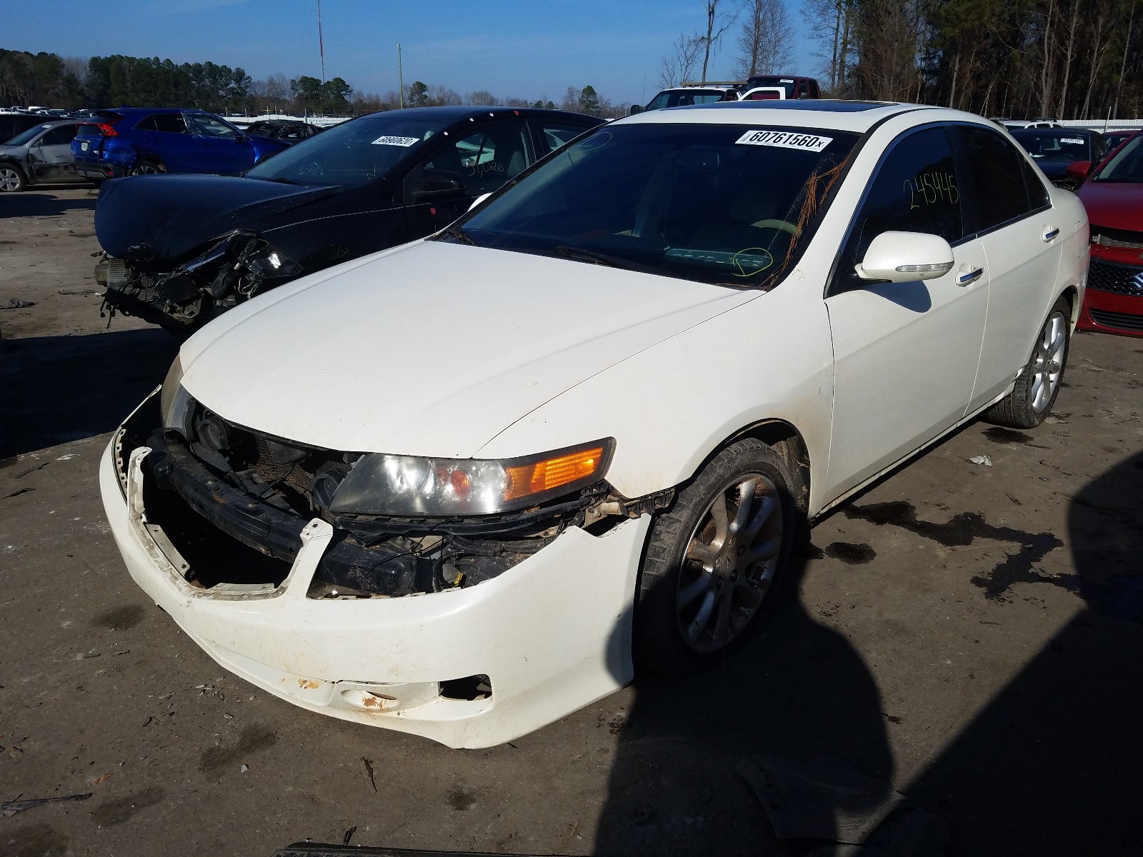 Photo 1 VIN: JH4CL96878C018395 - ACURA TSX 