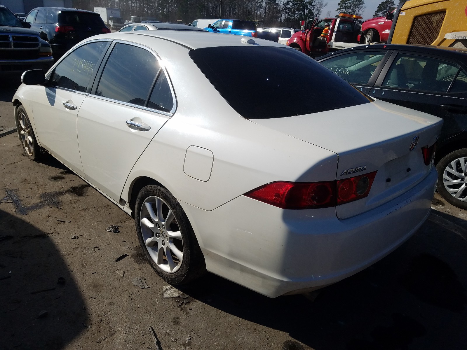 Photo 2 VIN: JH4CL96878C018395 - ACURA TSX 