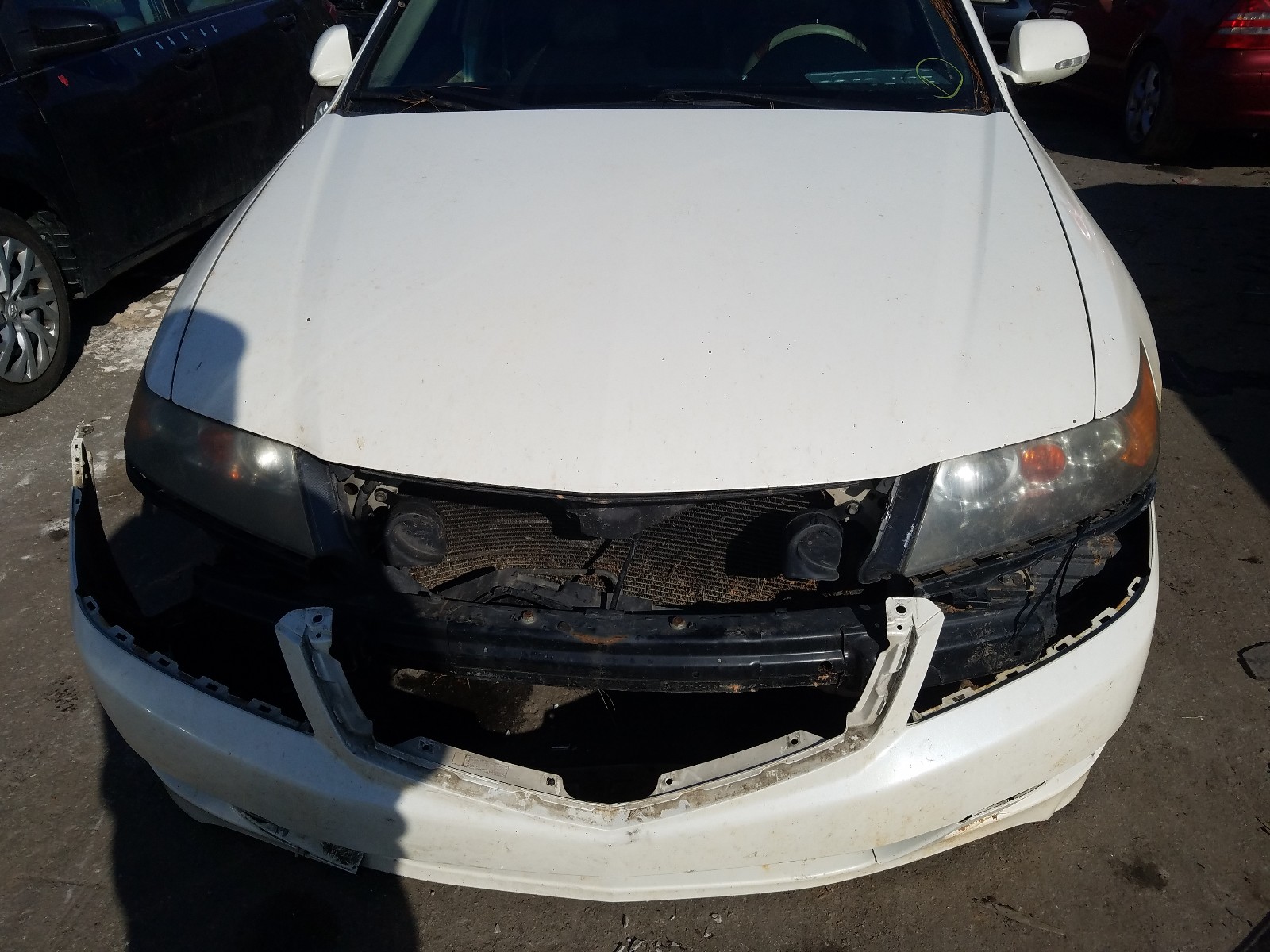 Photo 8 VIN: JH4CL96878C018395 - ACURA TSX 