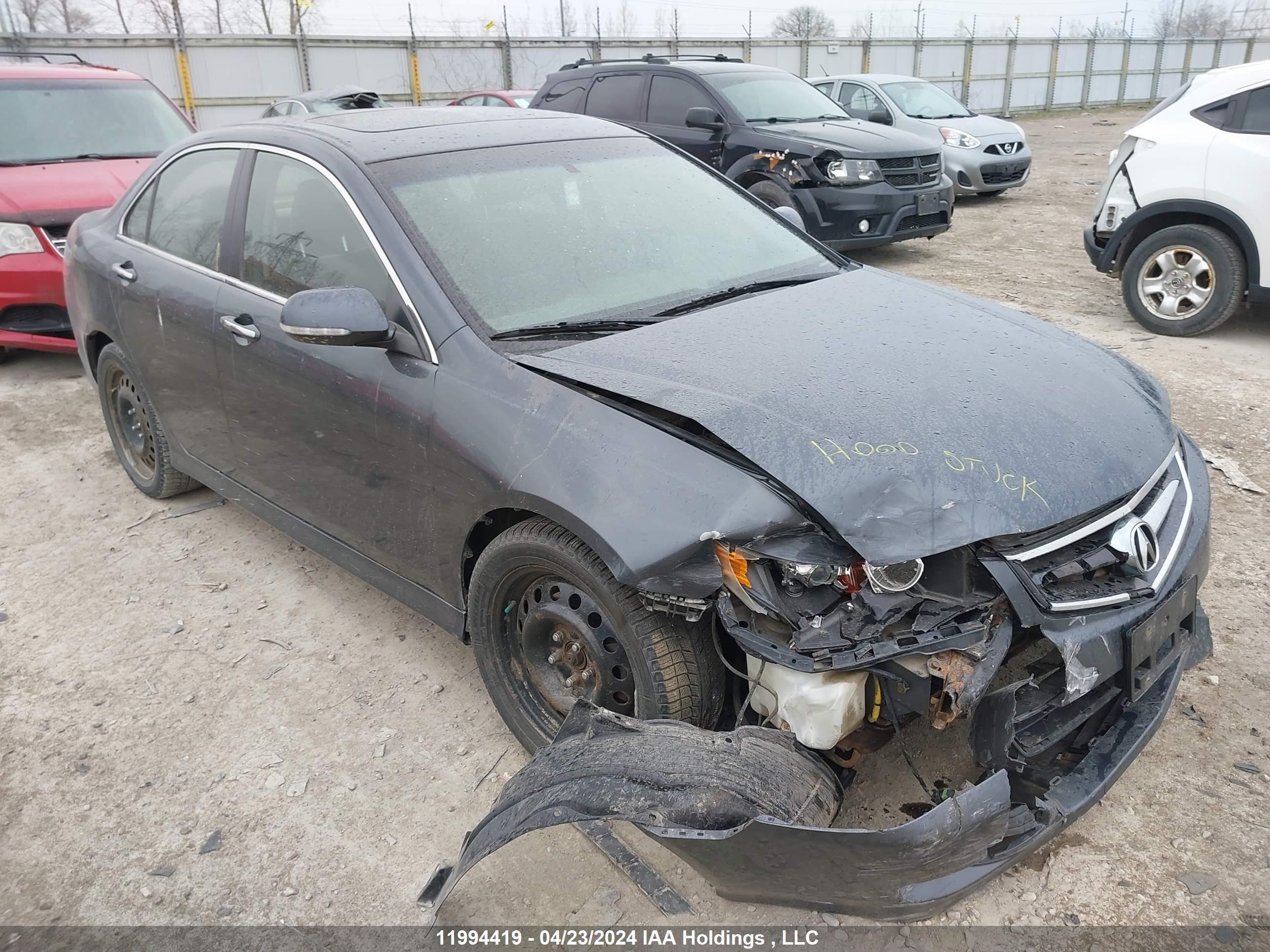 Photo 0 VIN: JH4CL96878C801541 - ACURA TSX 