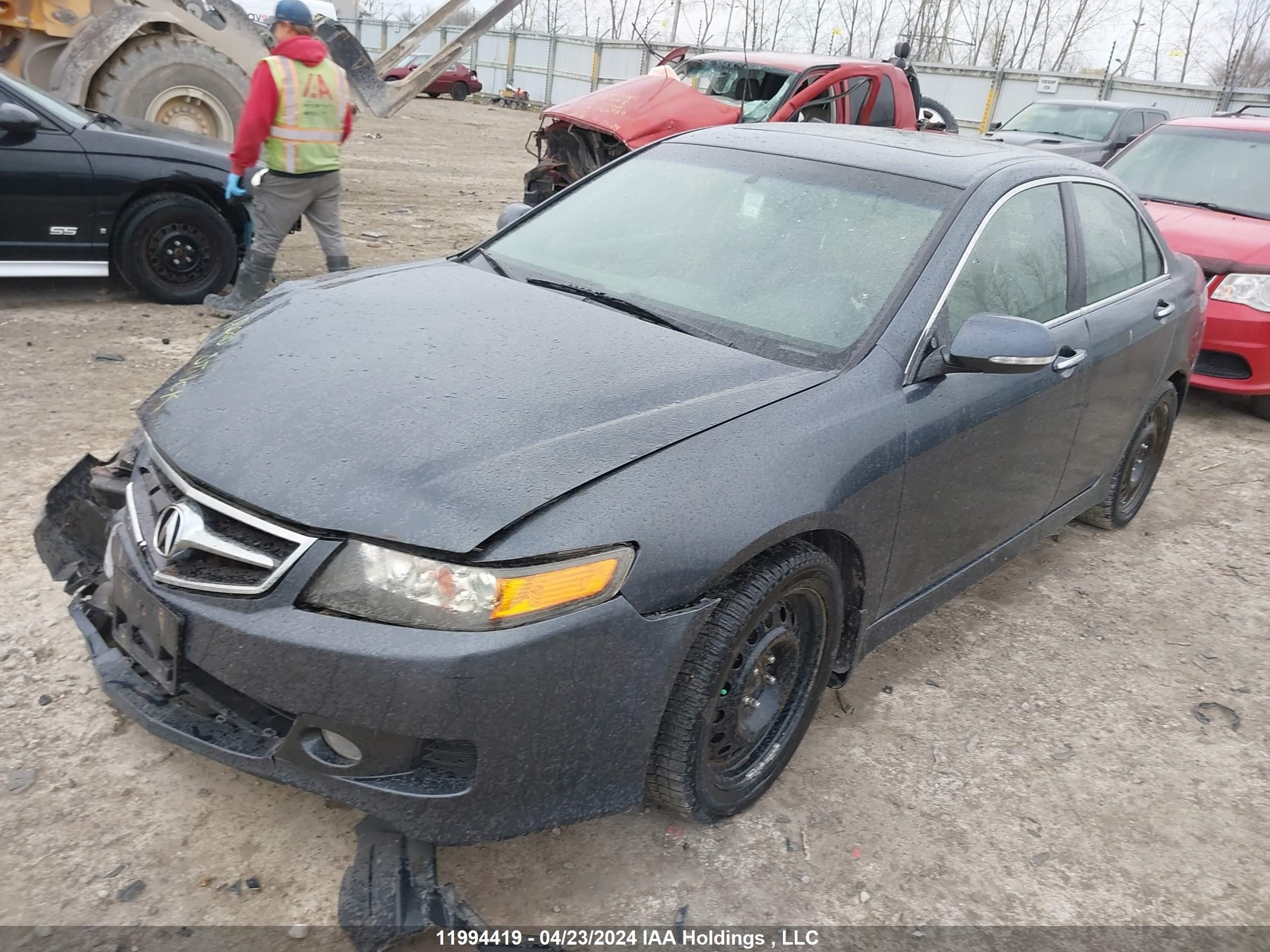 Photo 1 VIN: JH4CL96878C801541 - ACURA TSX 