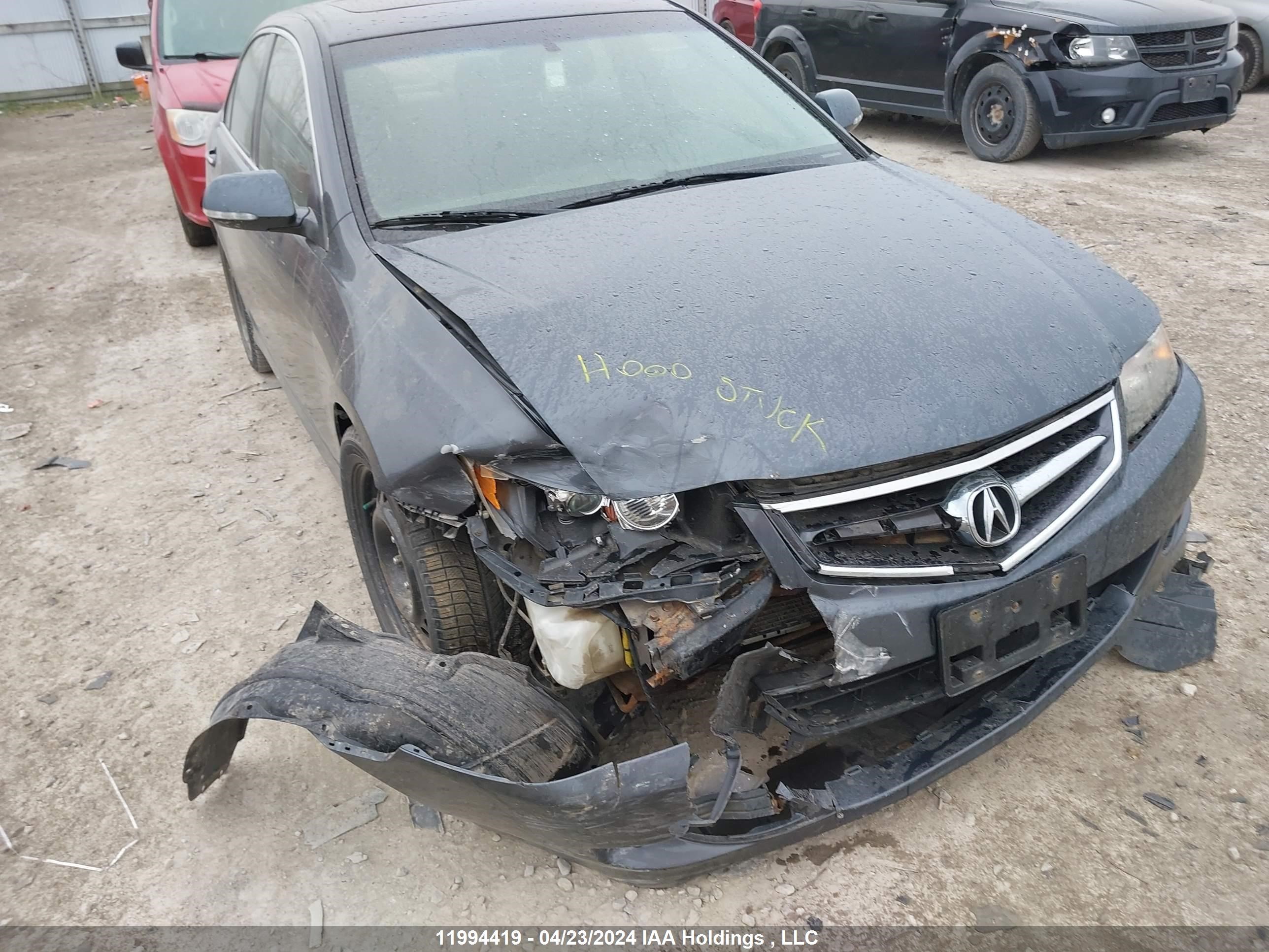 Photo 5 VIN: JH4CL96878C801541 - ACURA TSX 