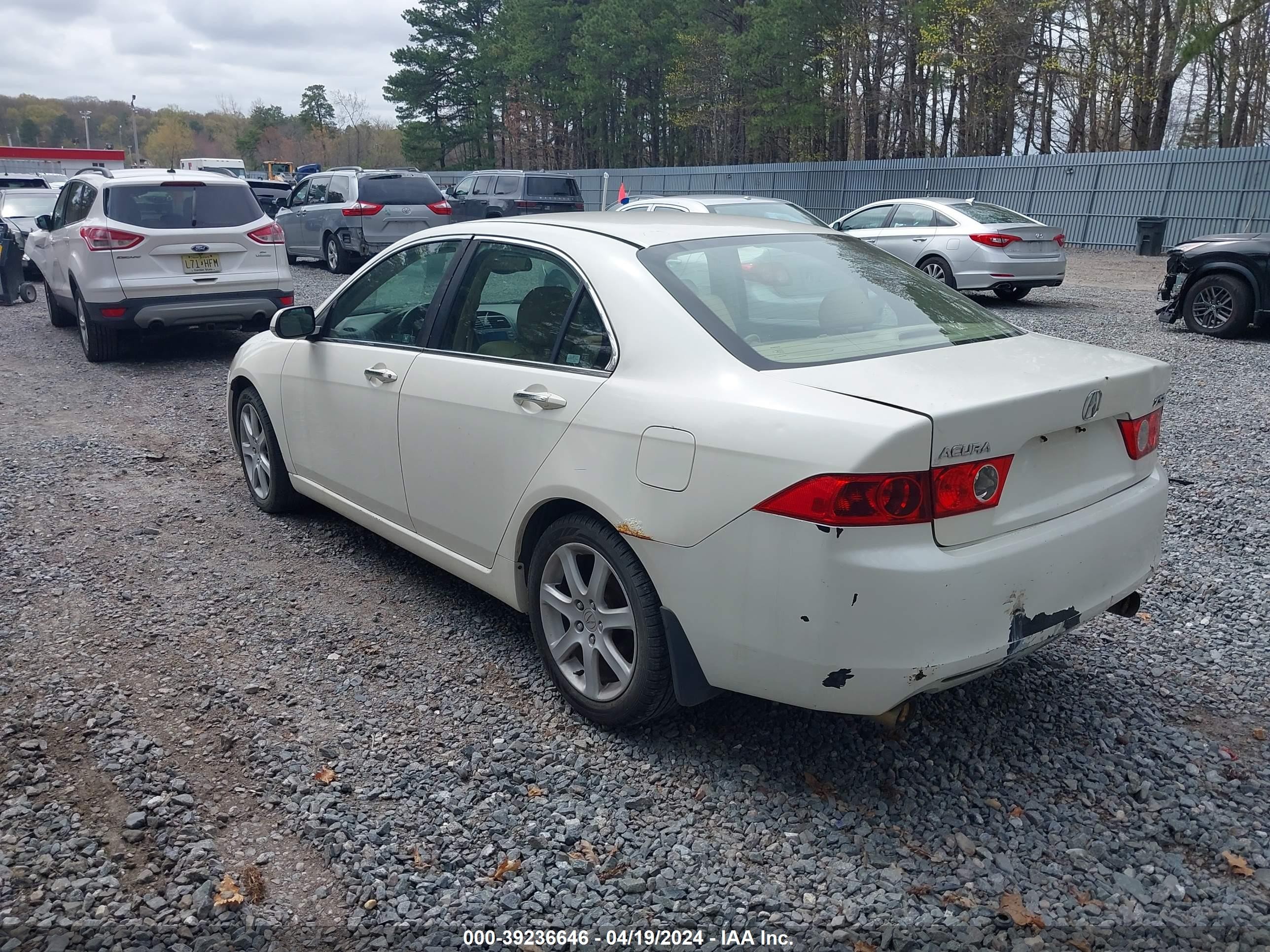 Photo 2 VIN: JH4CL96884C018688 - ACURA TSX 