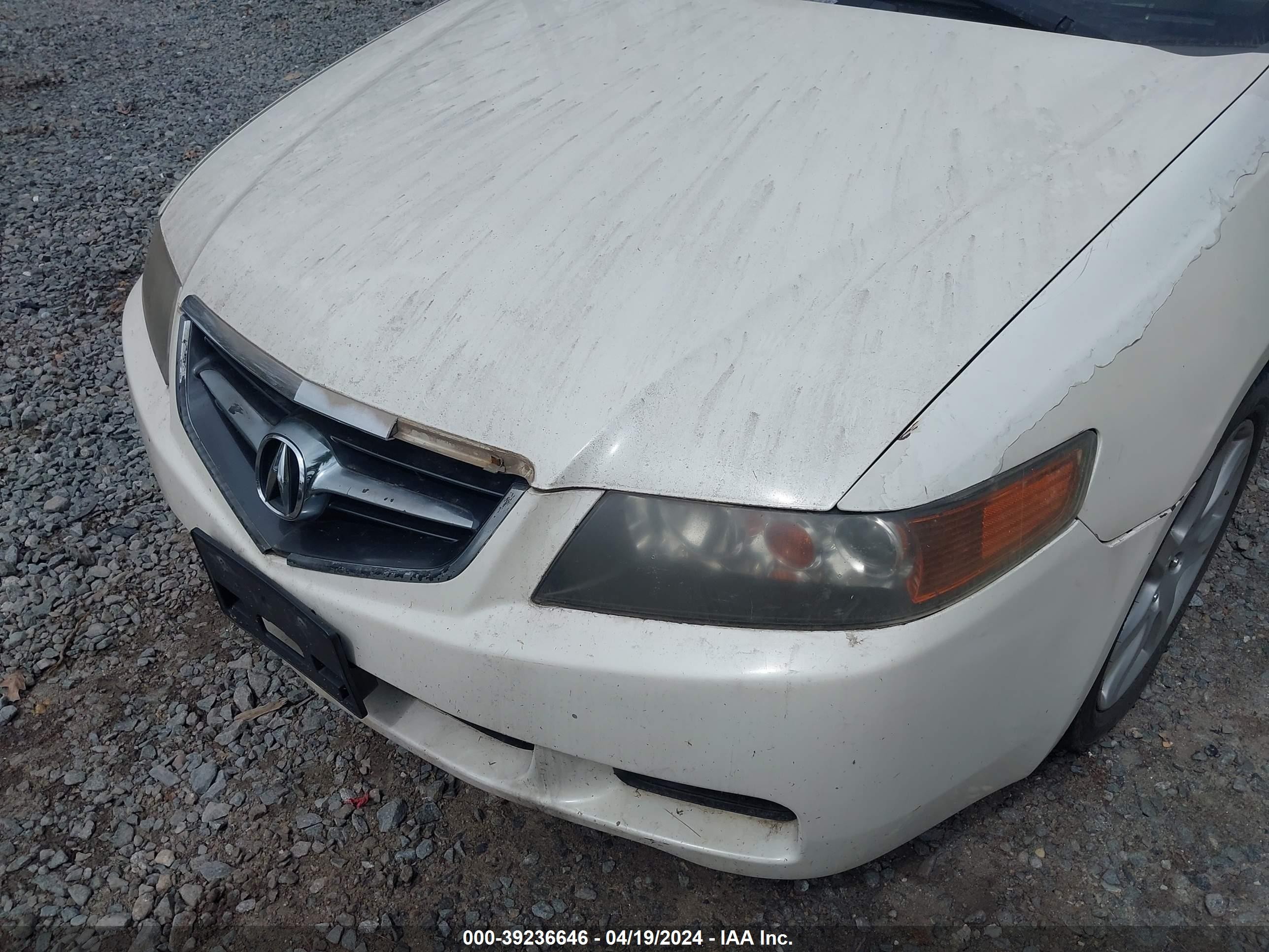 Photo 5 VIN: JH4CL96884C018688 - ACURA TSX 