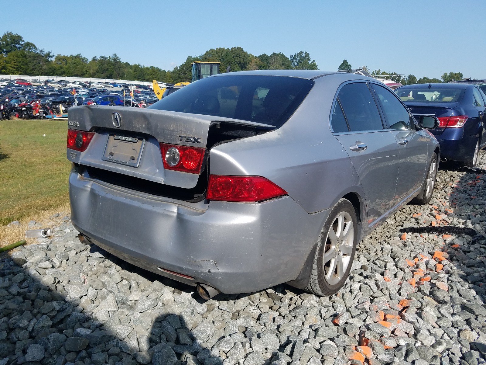 Photo 3 VIN: JH4CL96884C023194 - ACURA TSX 