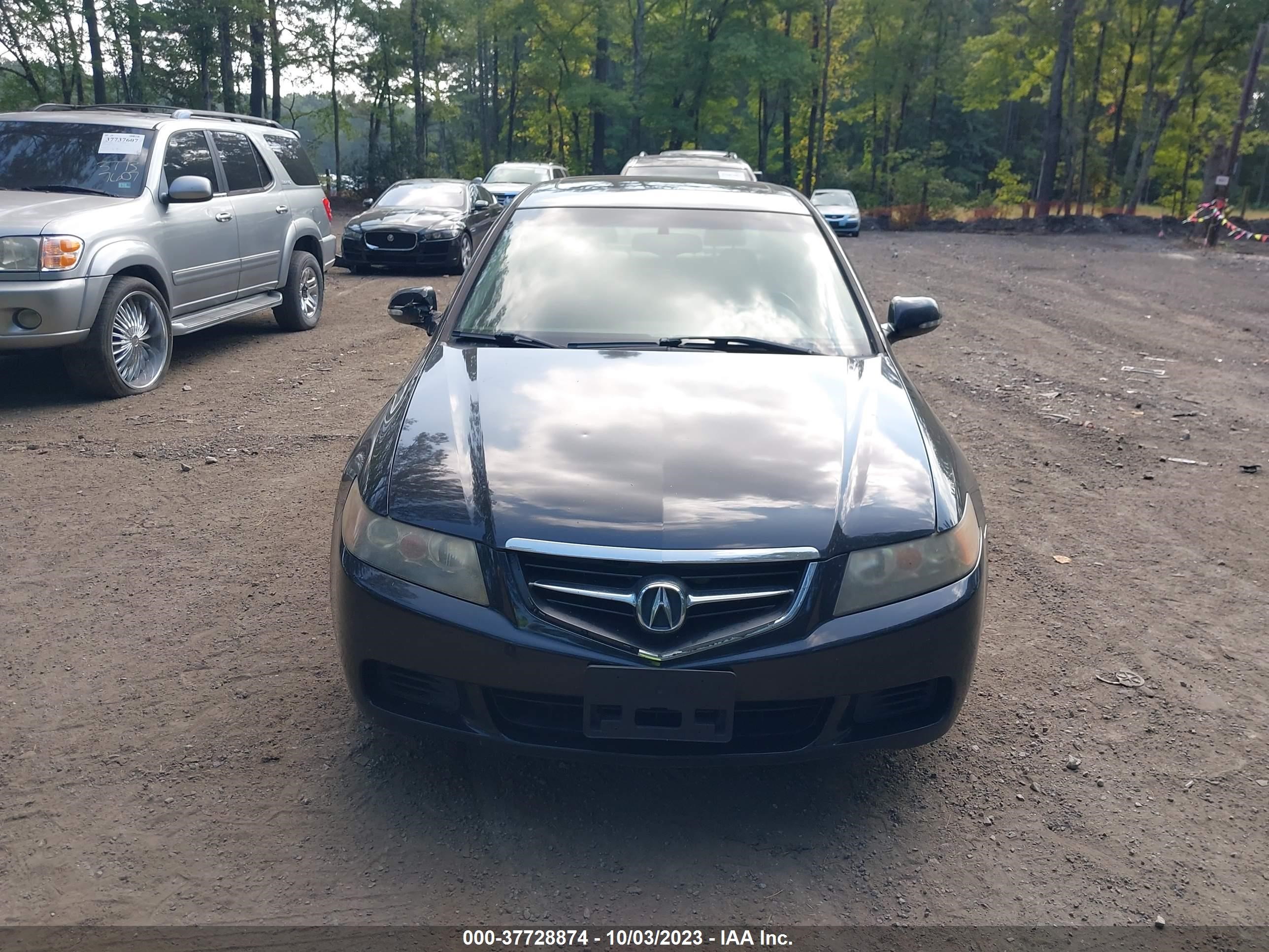 Photo 10 VIN: JH4CL96885C012858 - ACURA TSX 