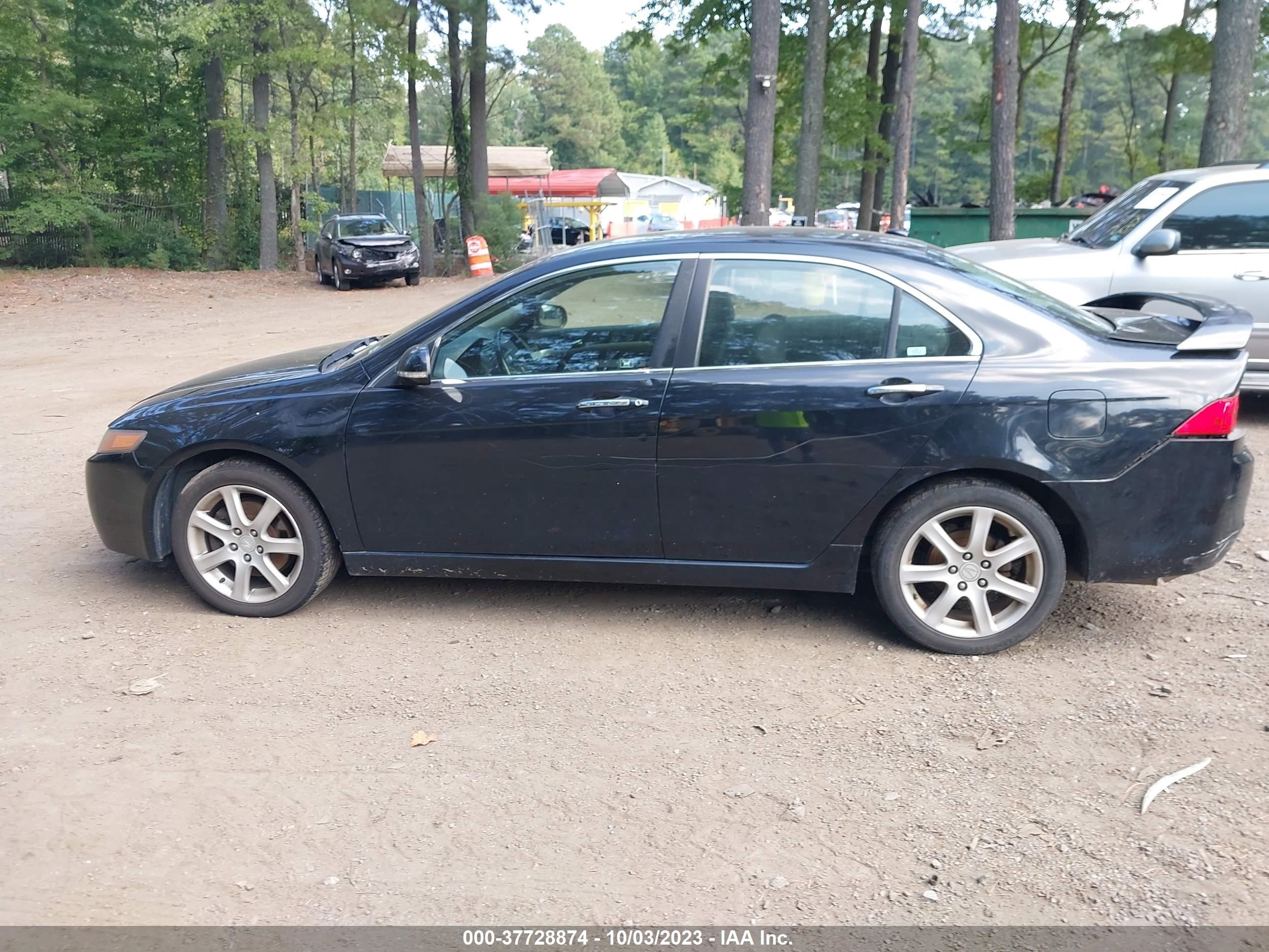 Photo 12 VIN: JH4CL96885C012858 - ACURA TSX 