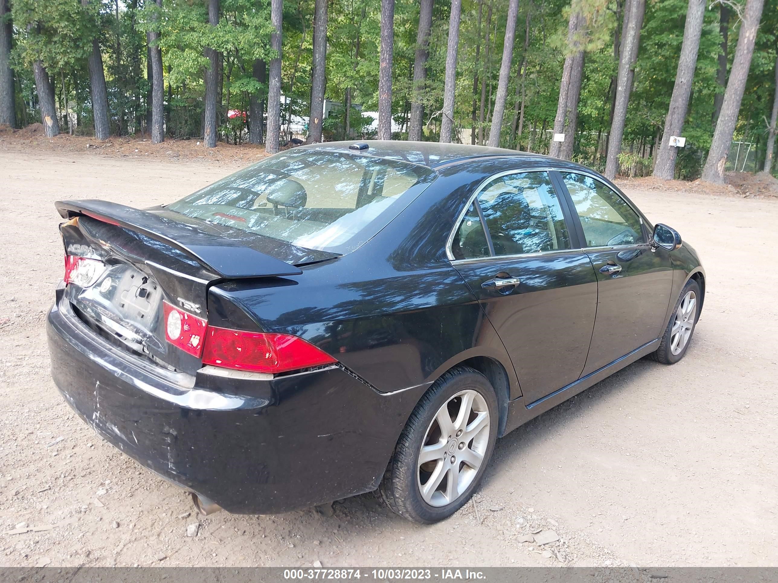 Photo 3 VIN: JH4CL96885C012858 - ACURA TSX 