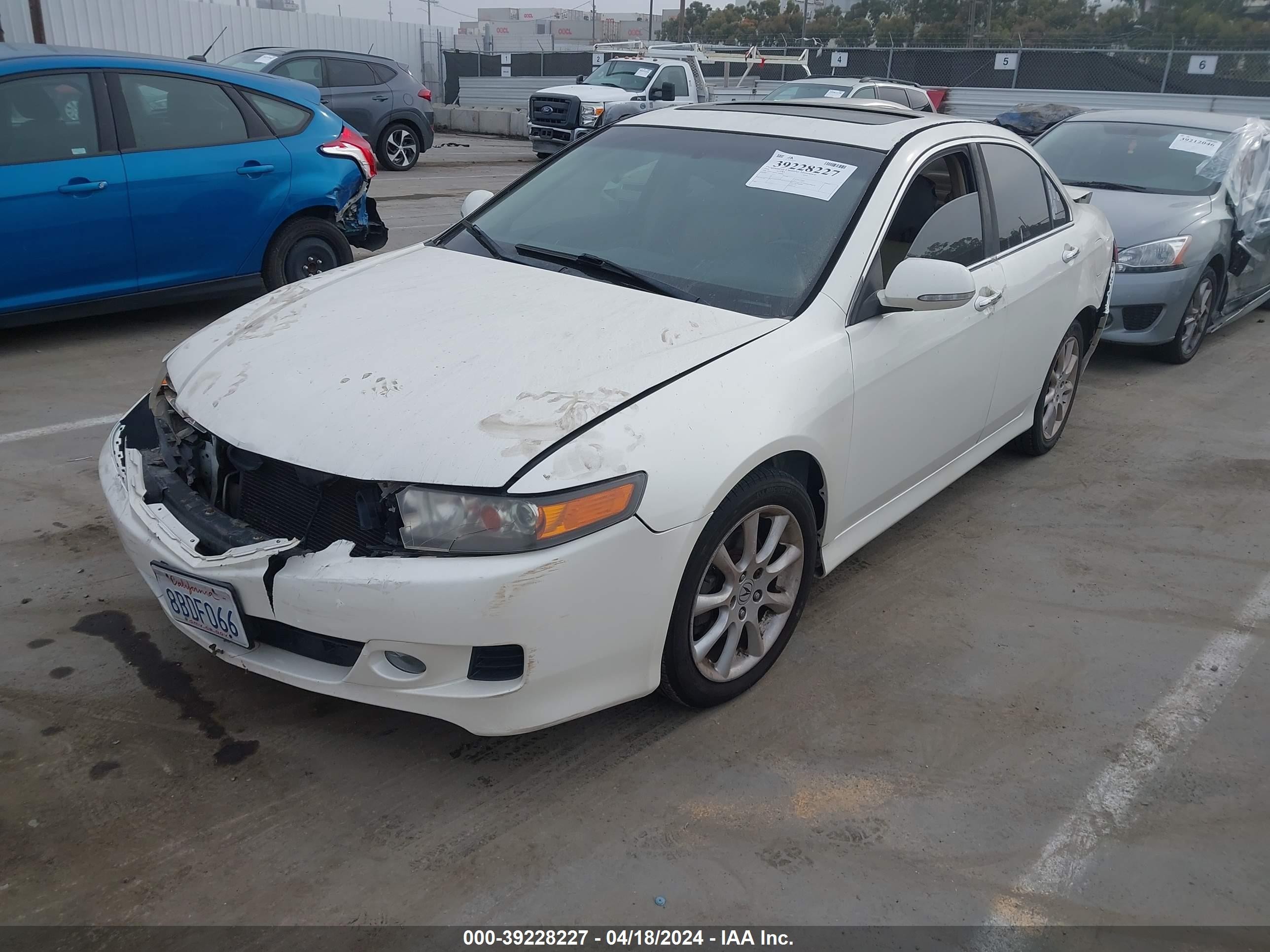 Photo 1 VIN: JH4CL96886C002266 - ACURA TSX 