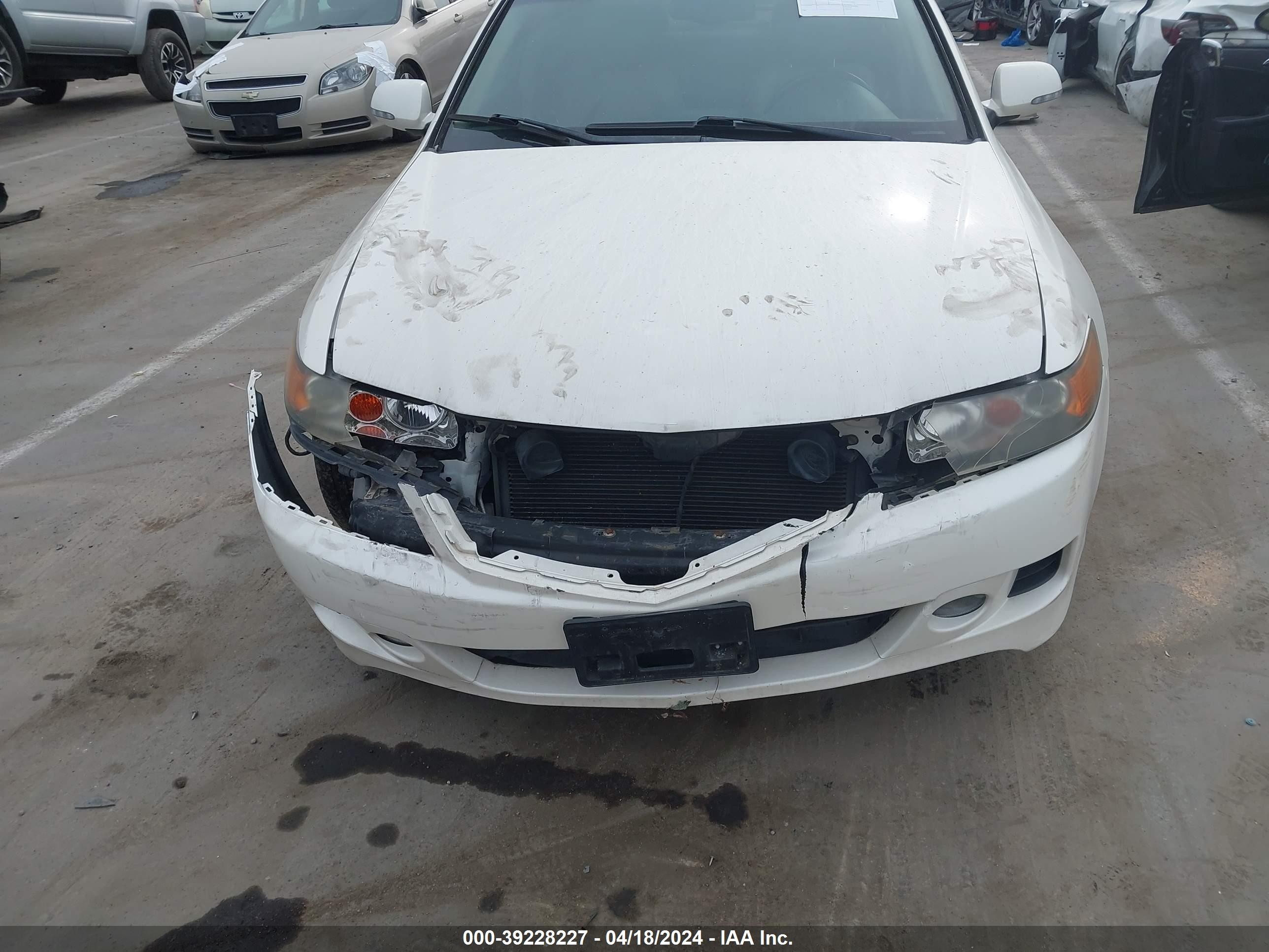 Photo 5 VIN: JH4CL96886C002266 - ACURA TSX 