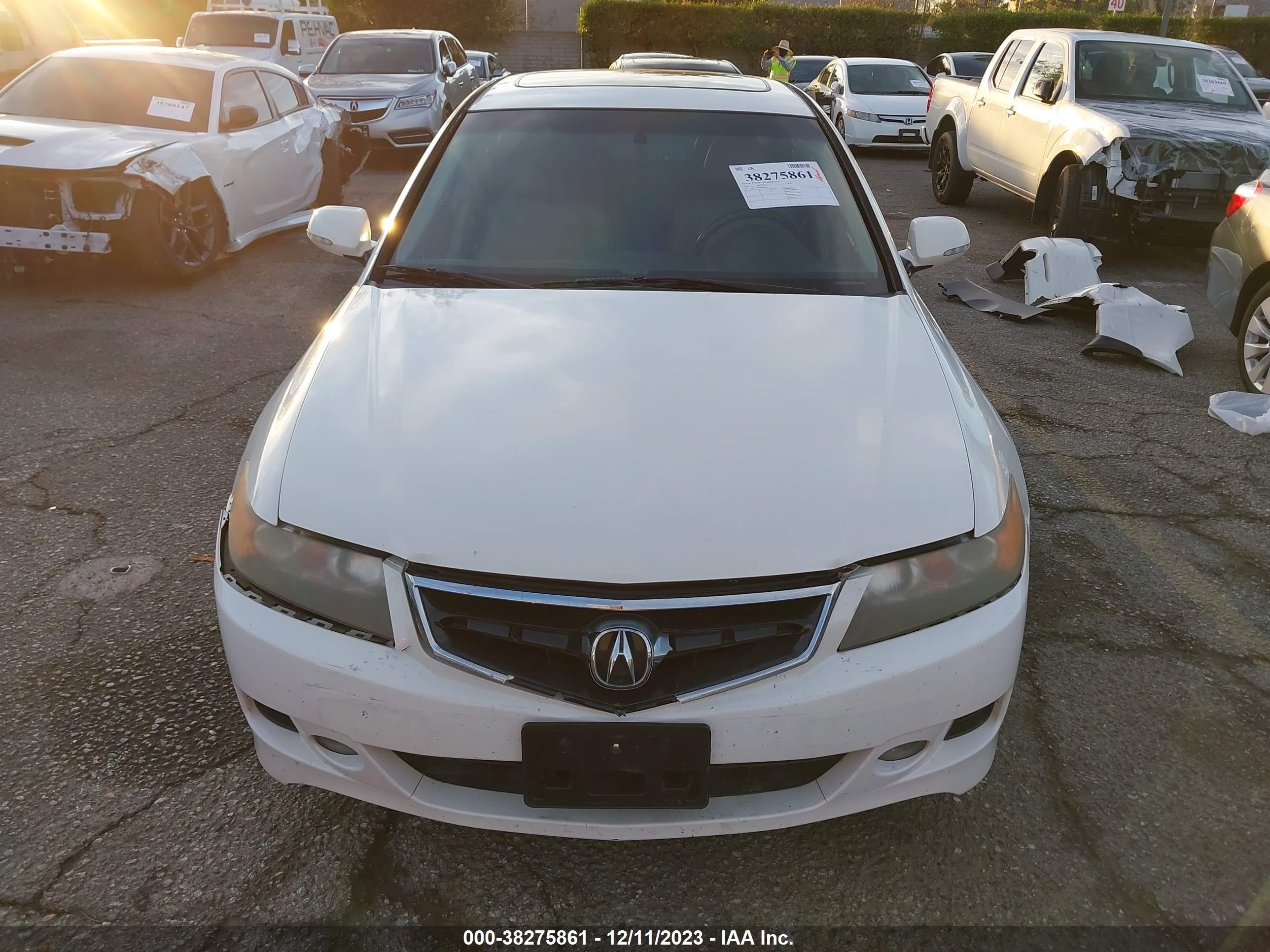 Photo 11 VIN: JH4CL96888C006109 - ACURA TSX 