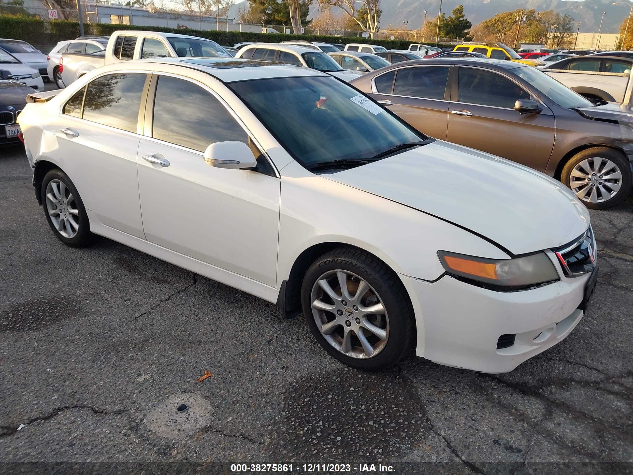 Photo 12 VIN: JH4CL96888C006109 - ACURA TSX 