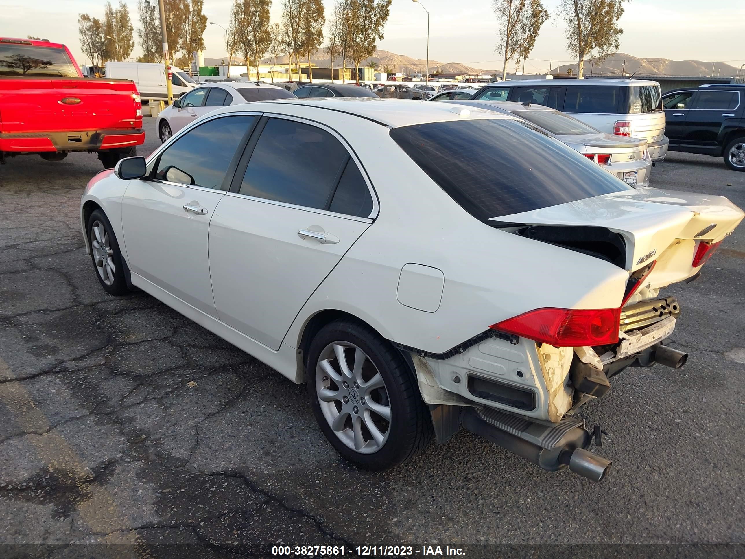 Photo 13 VIN: JH4CL96888C006109 - ACURA TSX 