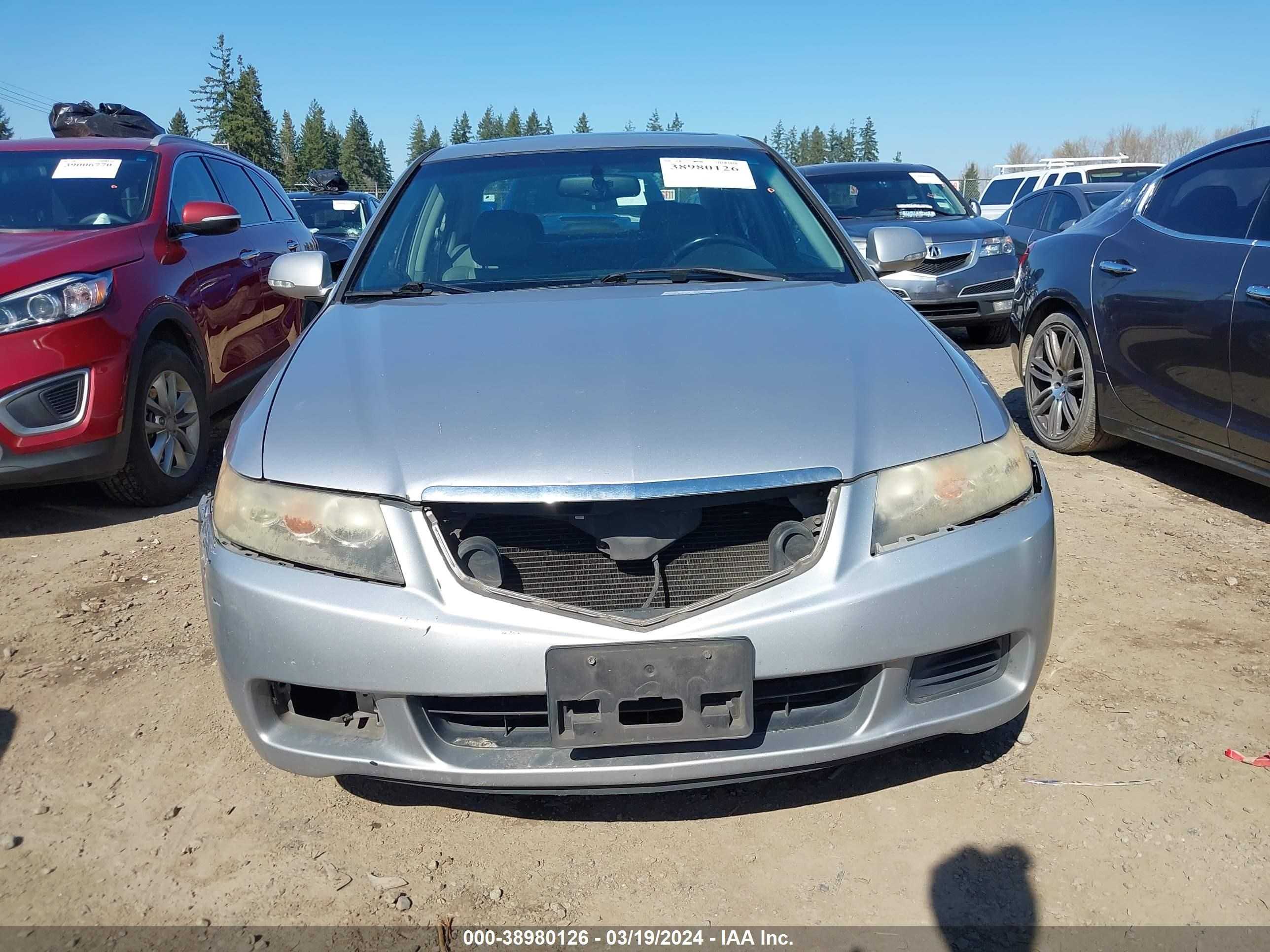 Photo 11 VIN: JH4CL96895C027546 - ACURA TSX 