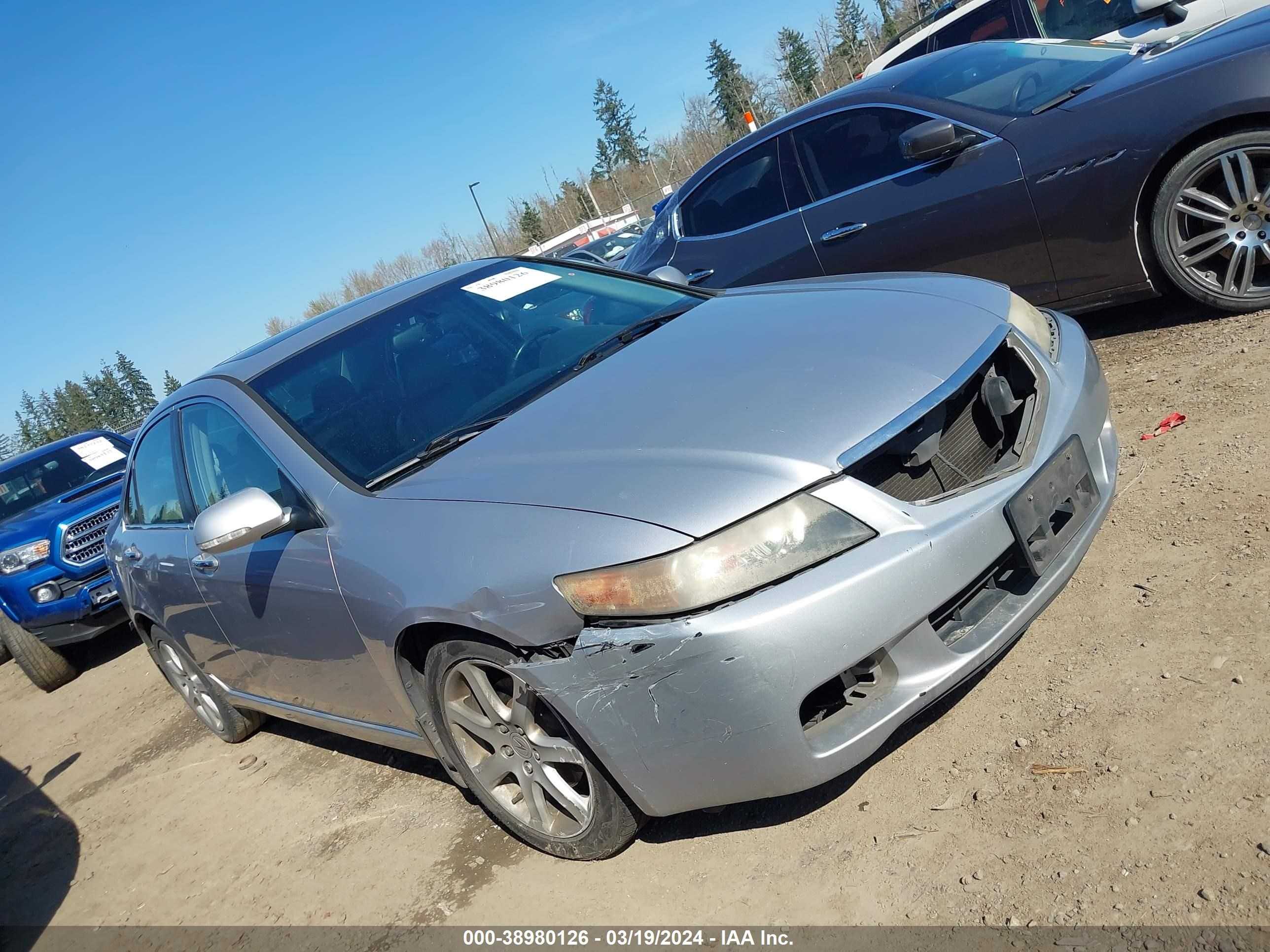 Photo 12 VIN: JH4CL96895C027546 - ACURA TSX 