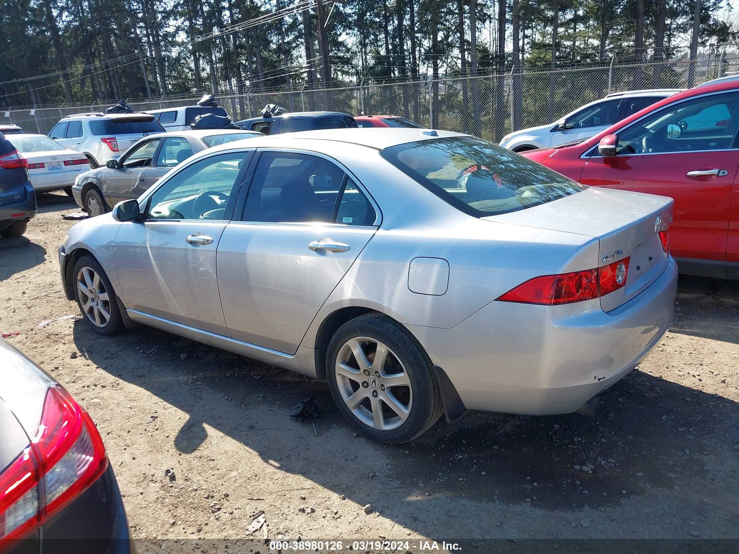 Photo 13 VIN: JH4CL96895C027546 - ACURA TSX 