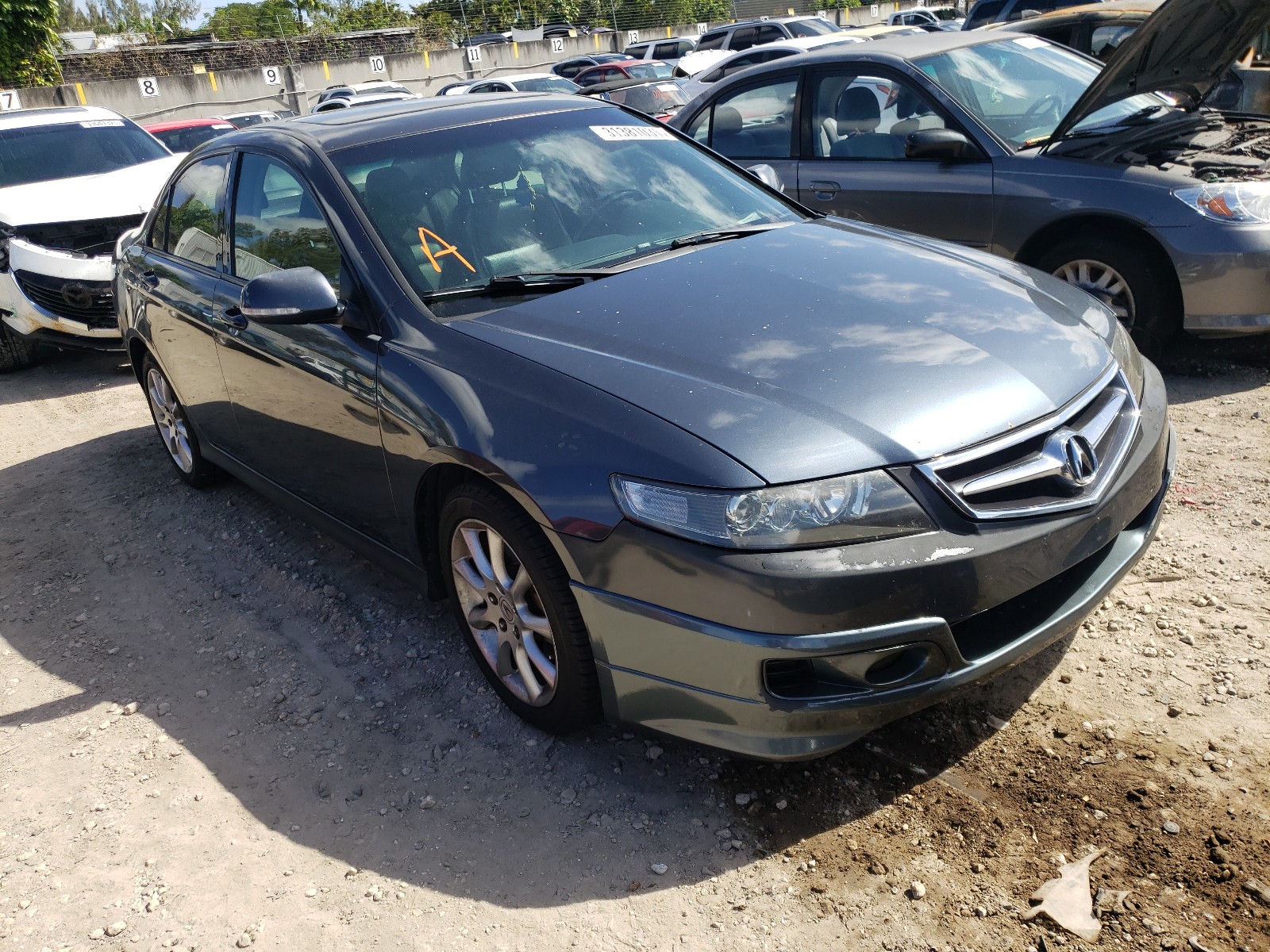 Photo 0 VIN: JH4CL96895C033072 - ACURA TSX 