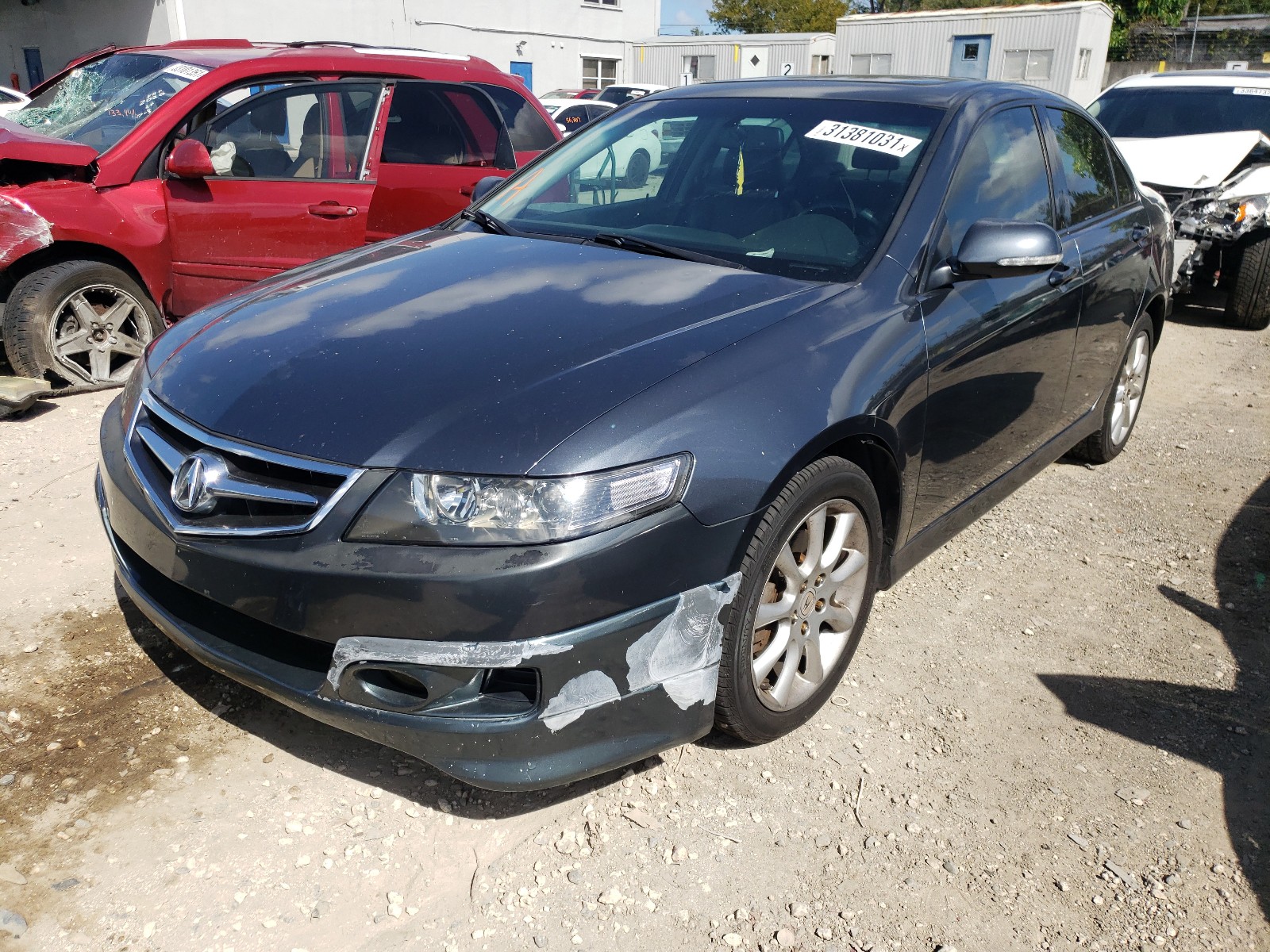 Photo 1 VIN: JH4CL96895C033072 - ACURA TSX 